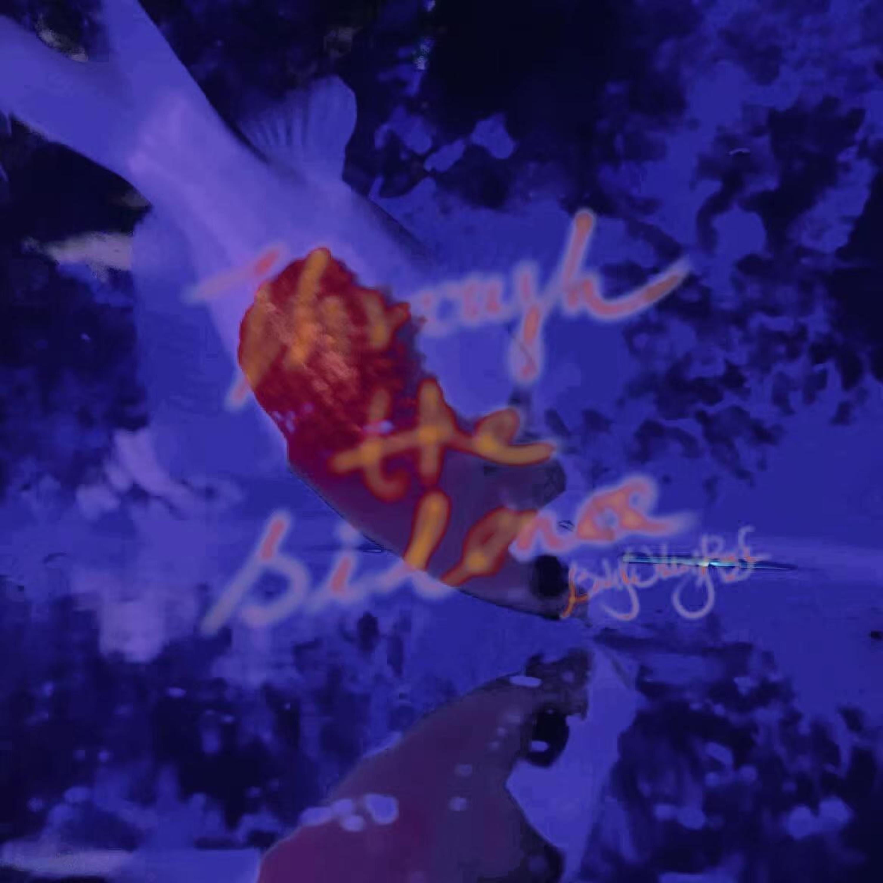 Релиз Through the Silence