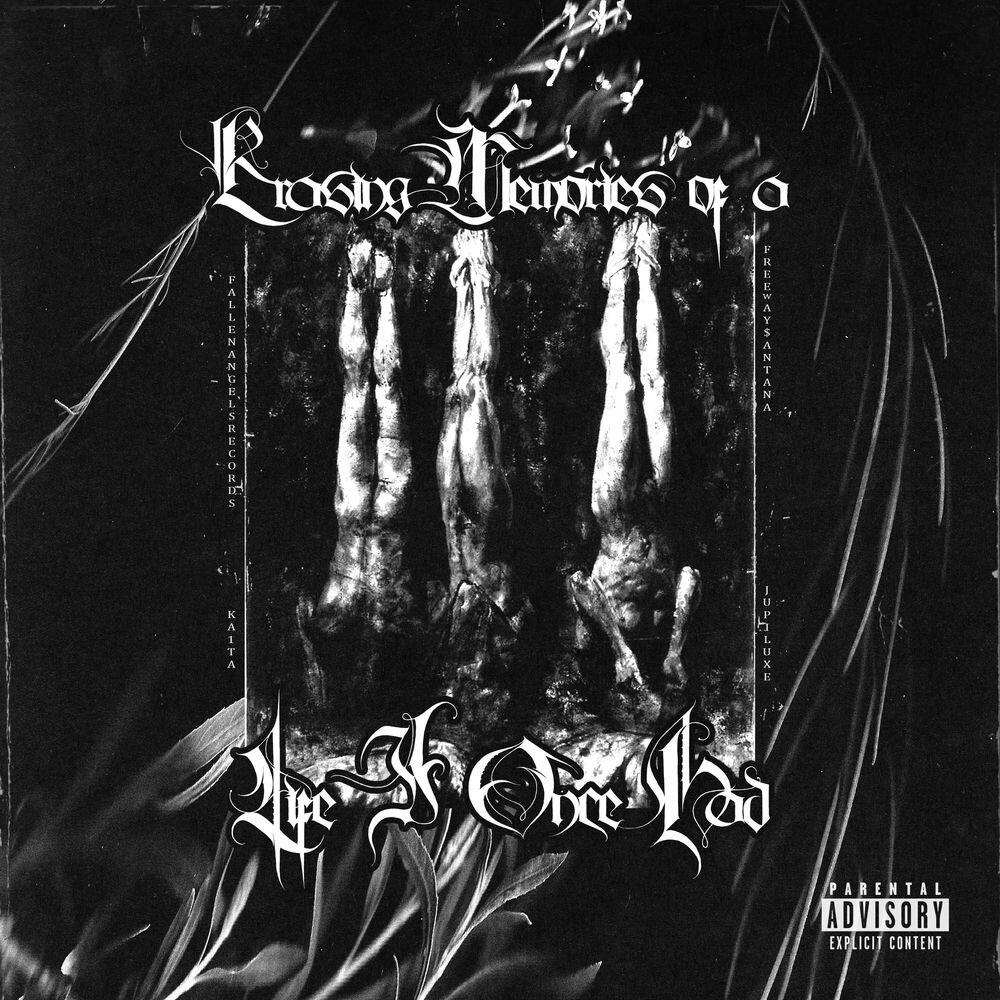Релиз Erasing Memories Of A Life I Once Had