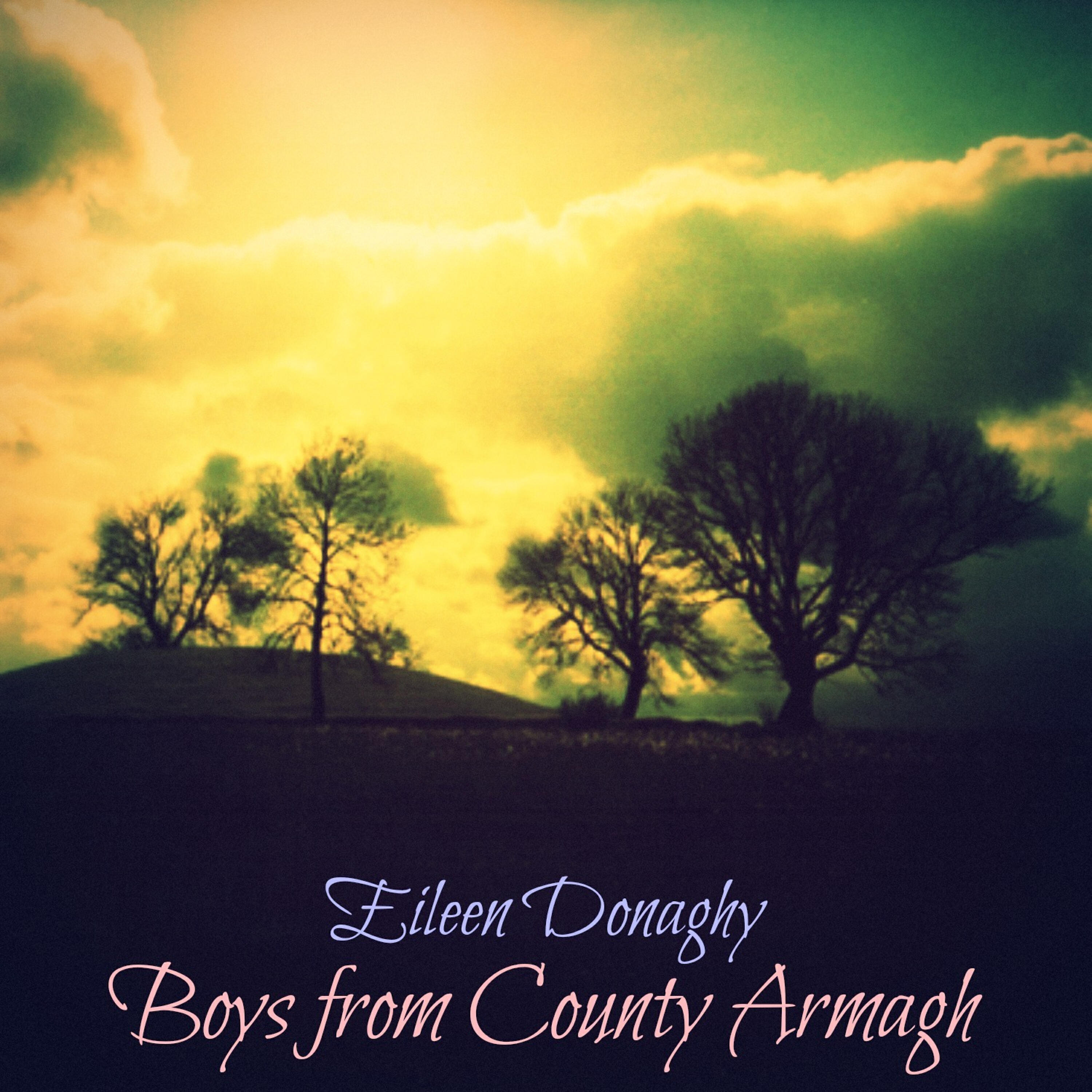 Релиз Boys from County Armagh