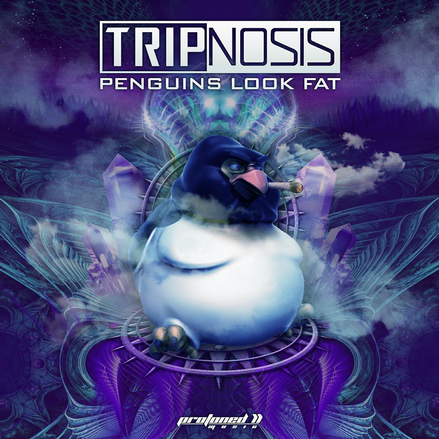 Релиз Penguins Look Fat