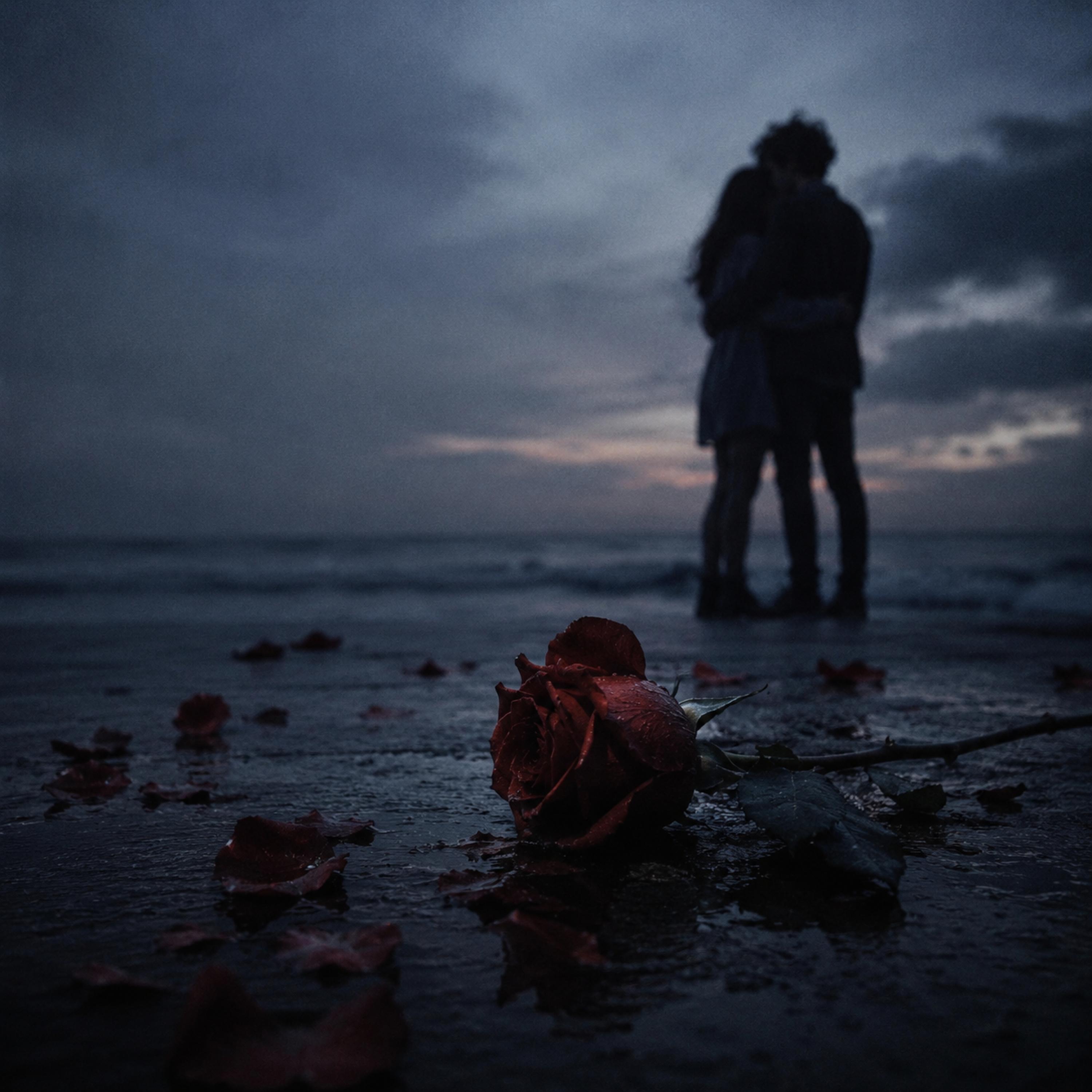Релиз The One (Now Your Name in Quiet Rooms)