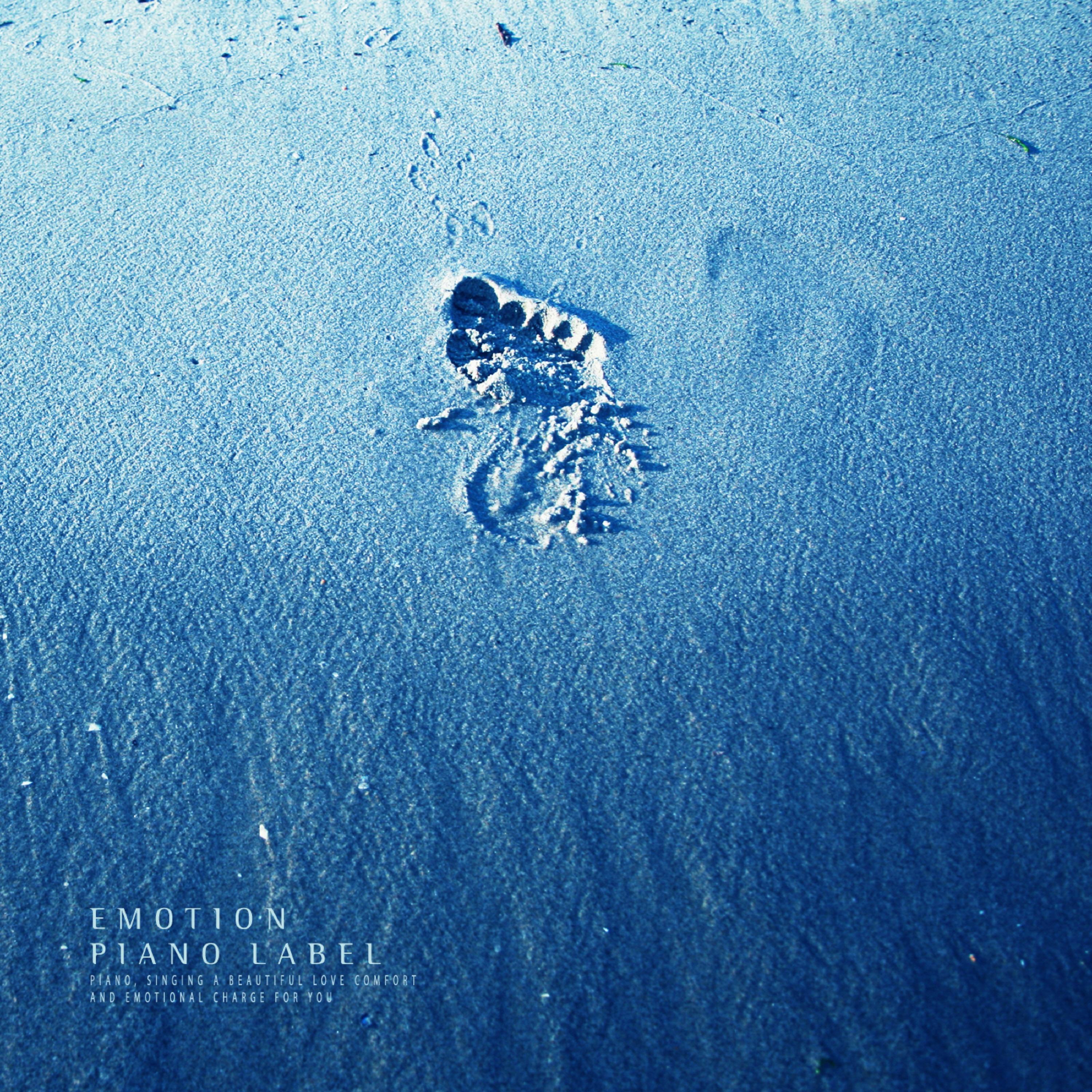 Релиз New Age Piano Collection Of Sad Memories