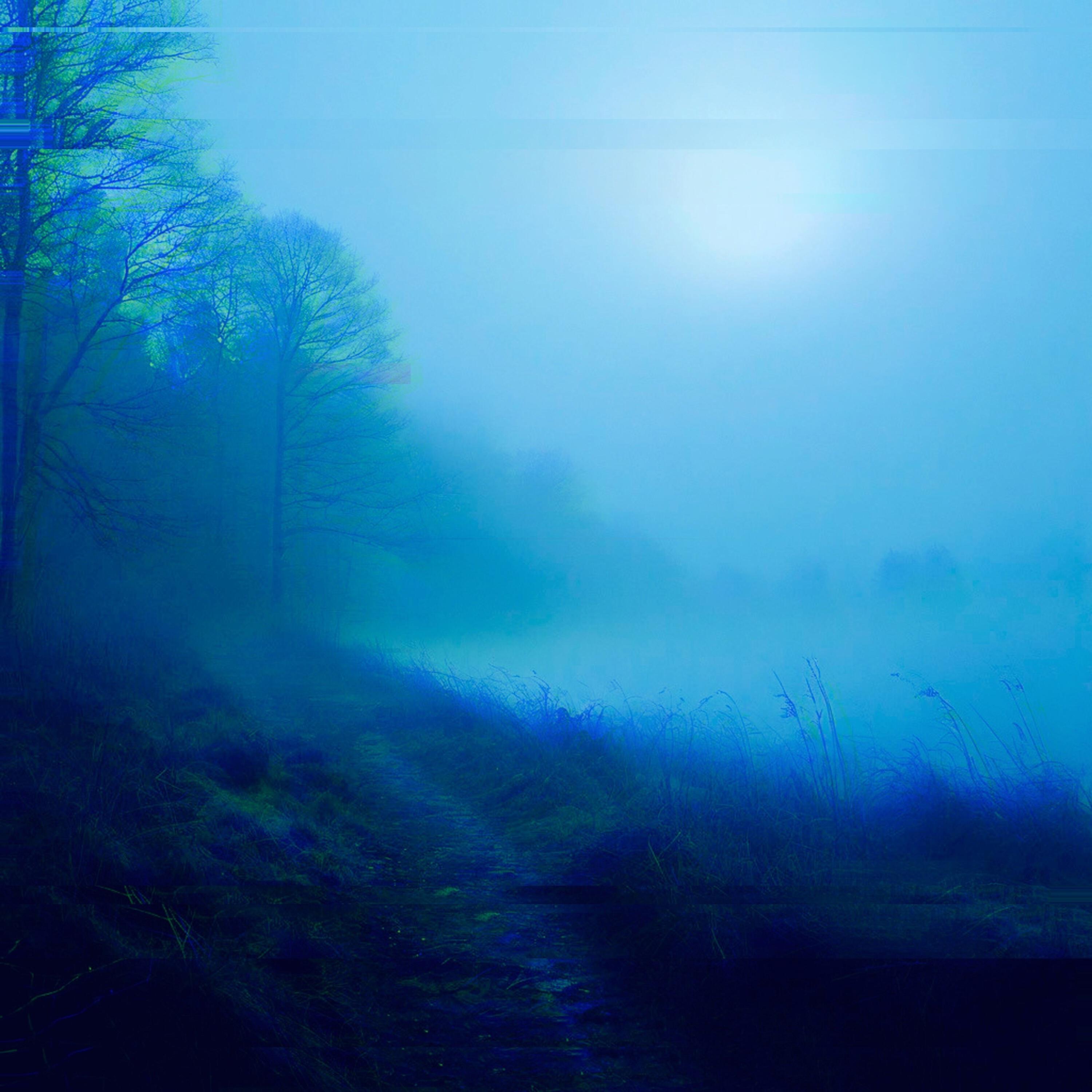 Релиз SILENT