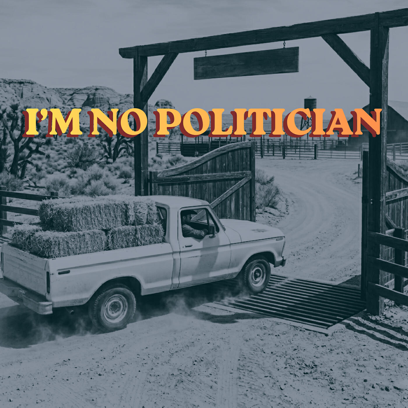 Релиз I'm No Politician