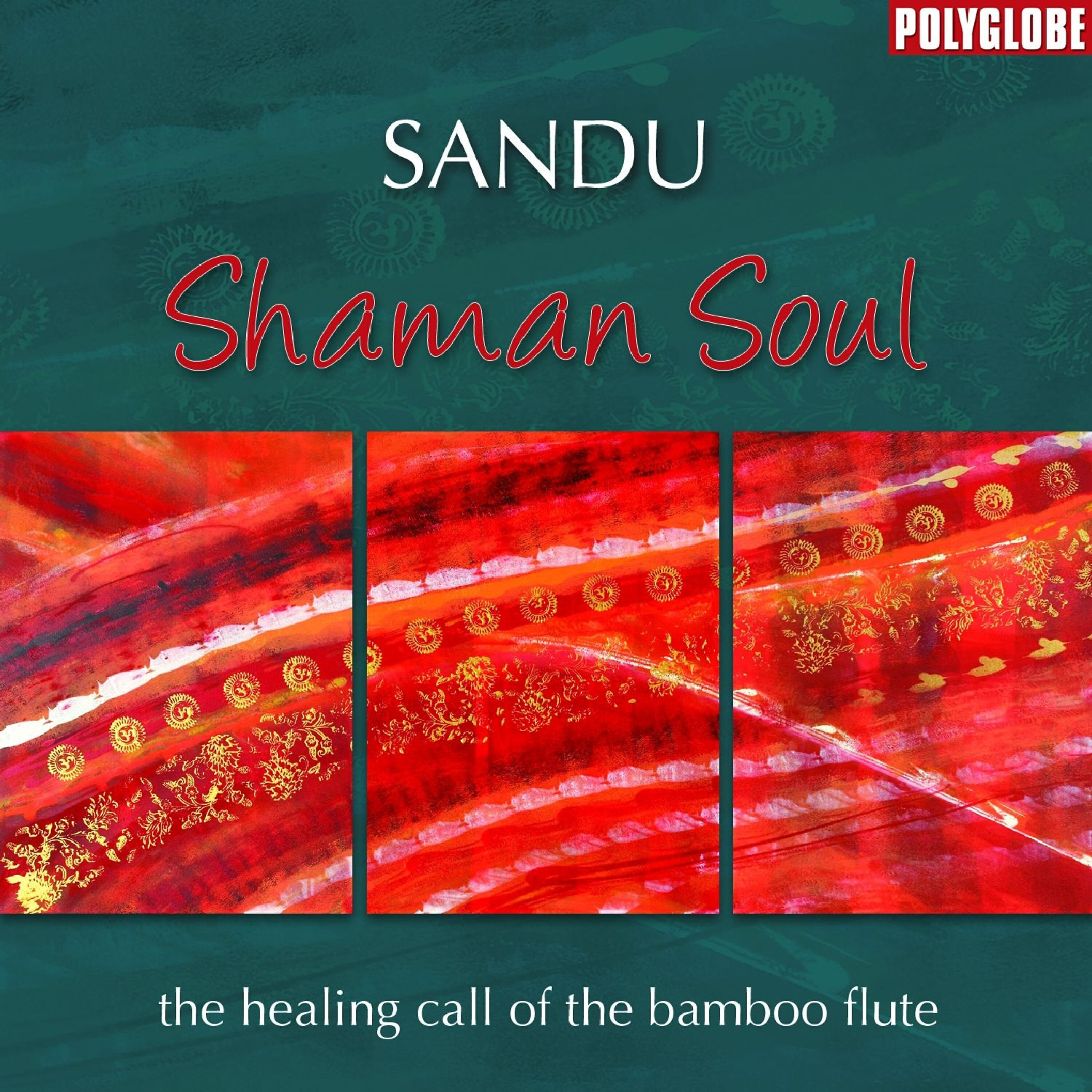 Релиз Shaman Soul