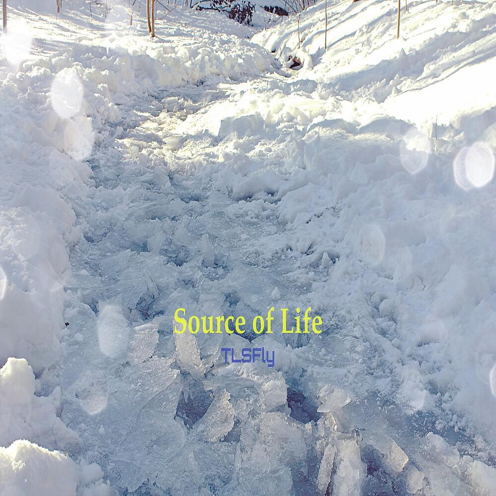 Постер альбома Source of Life