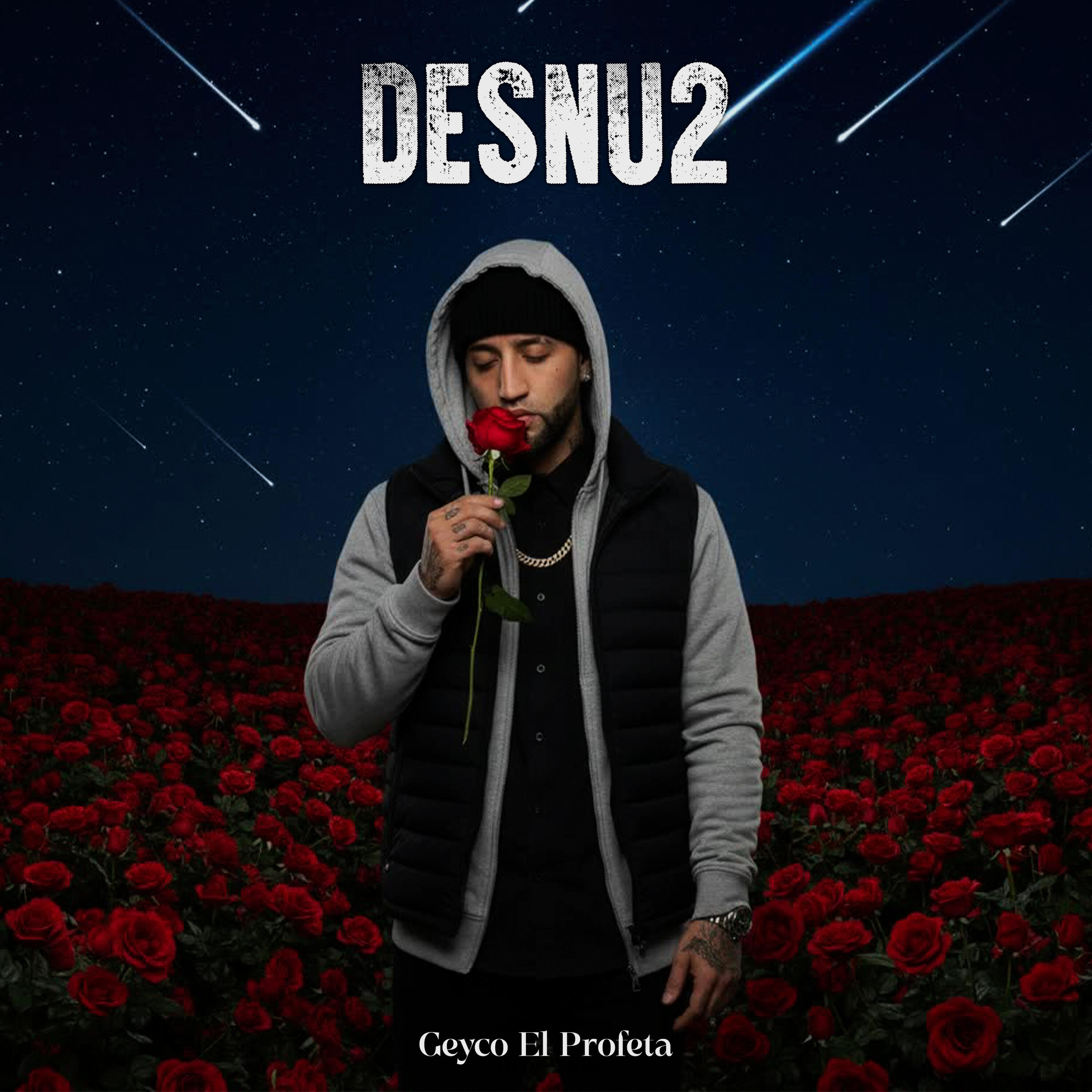 Релиз Desnud2
