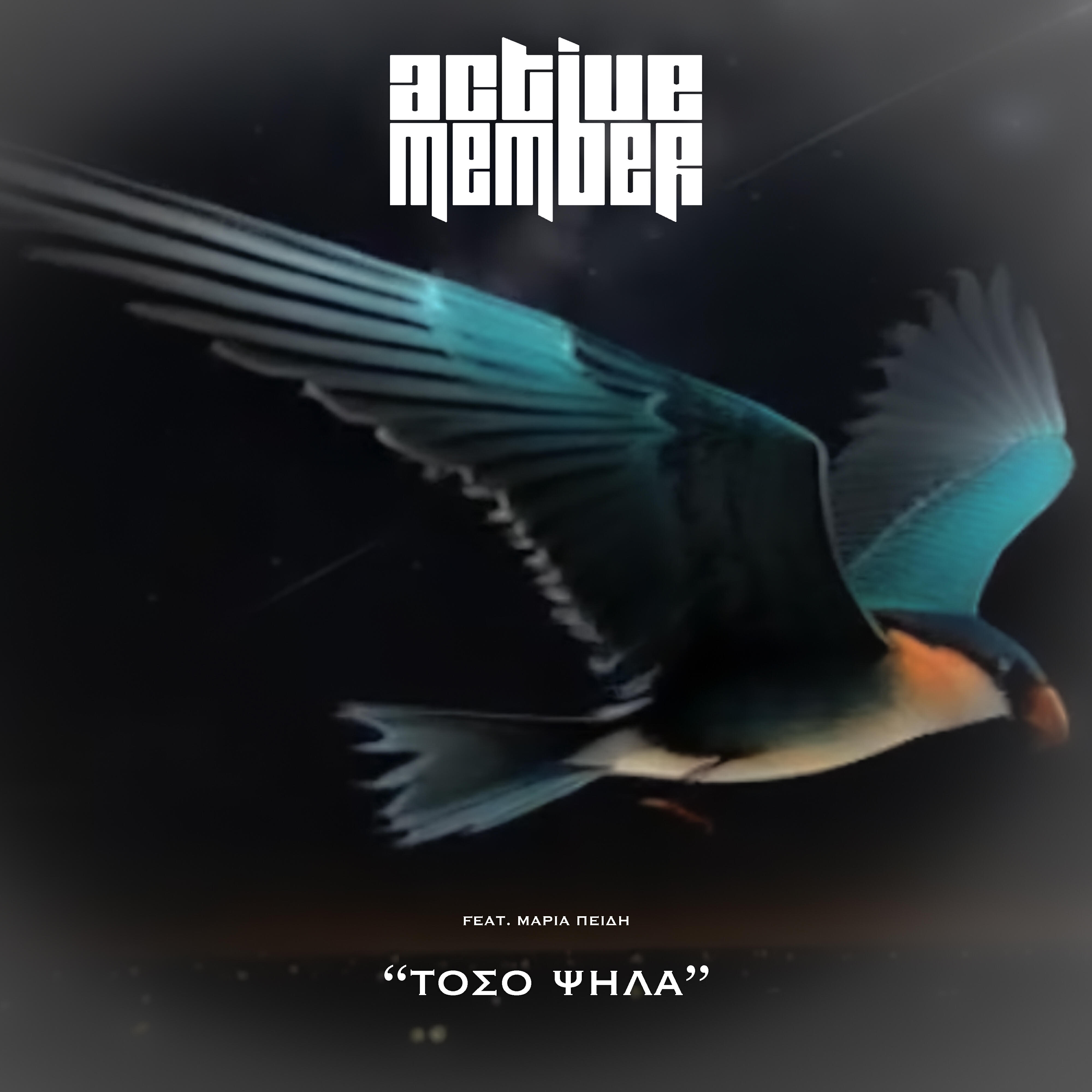 Релиз Toso Psila
