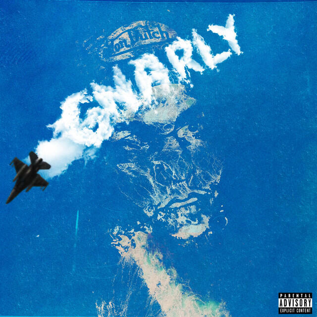 Релиз Gnarly