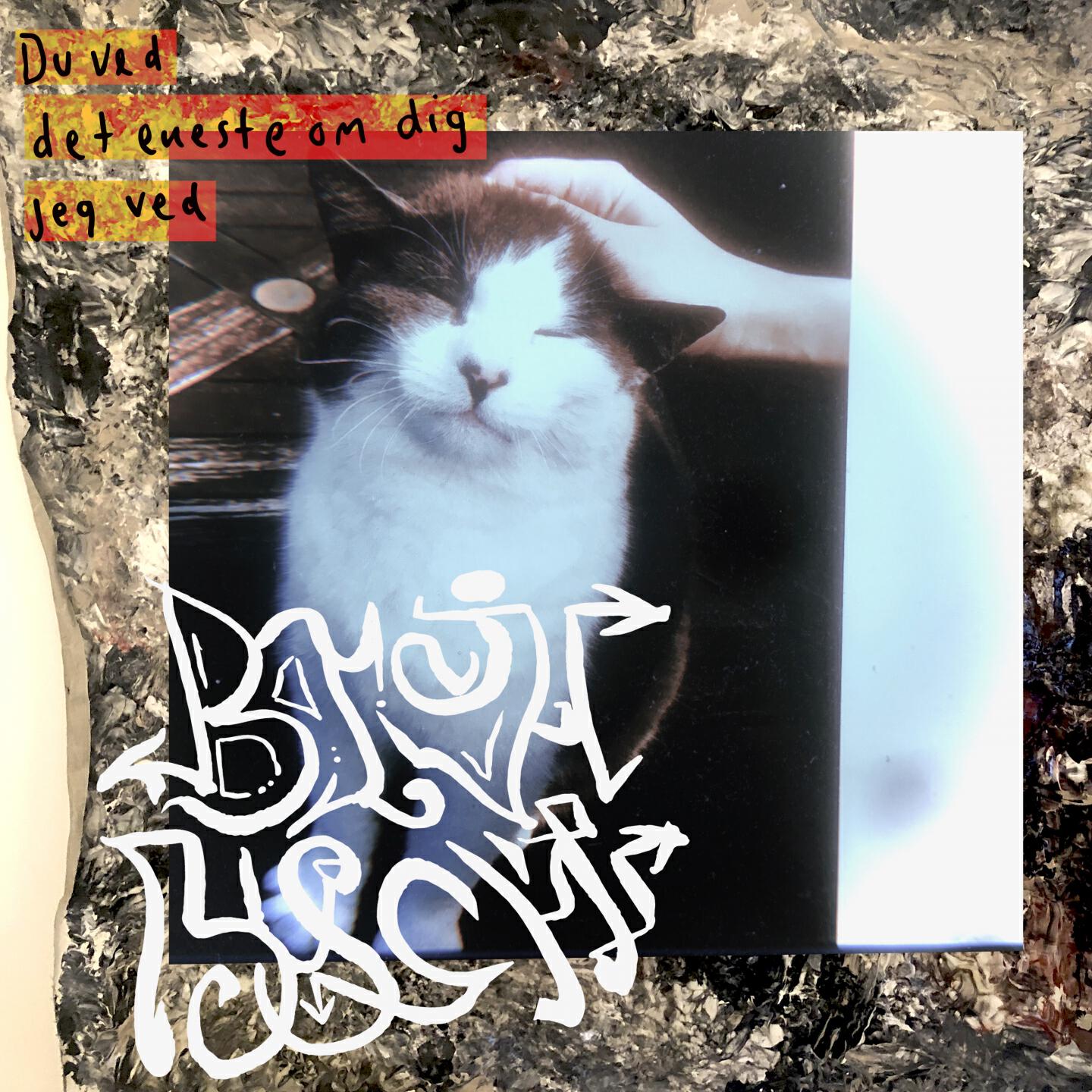 Релиз Du ved, det eneste om dig, jeg ved