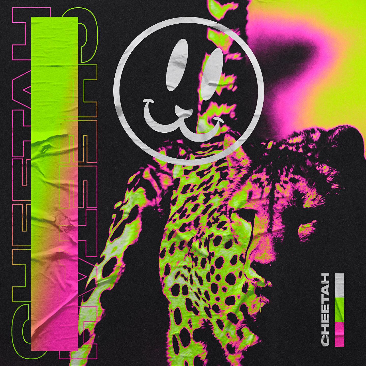 Скачать песню Ragers - Cheetah бесплатно в MP3 для Android и iOS