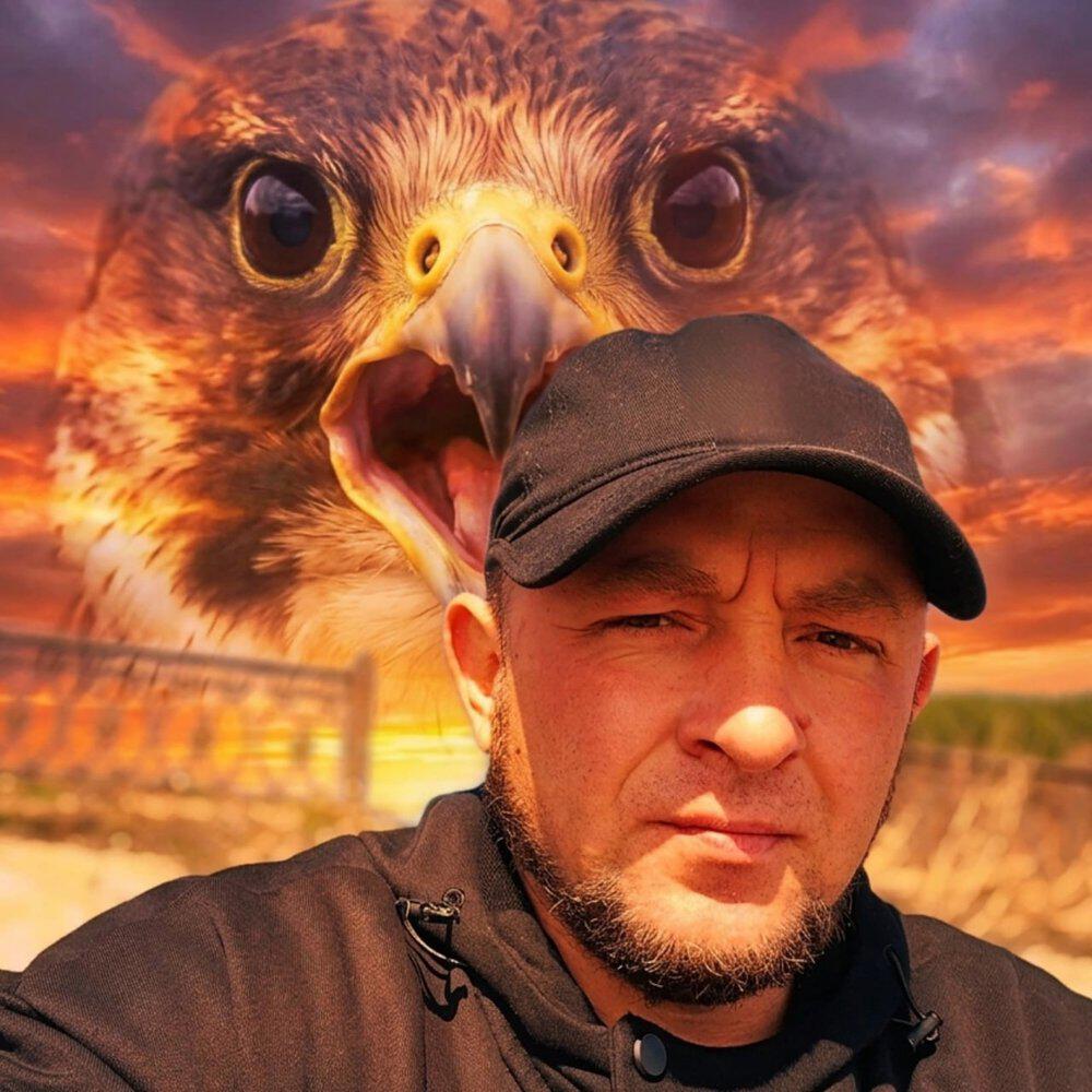 Релиз Like a Falcon