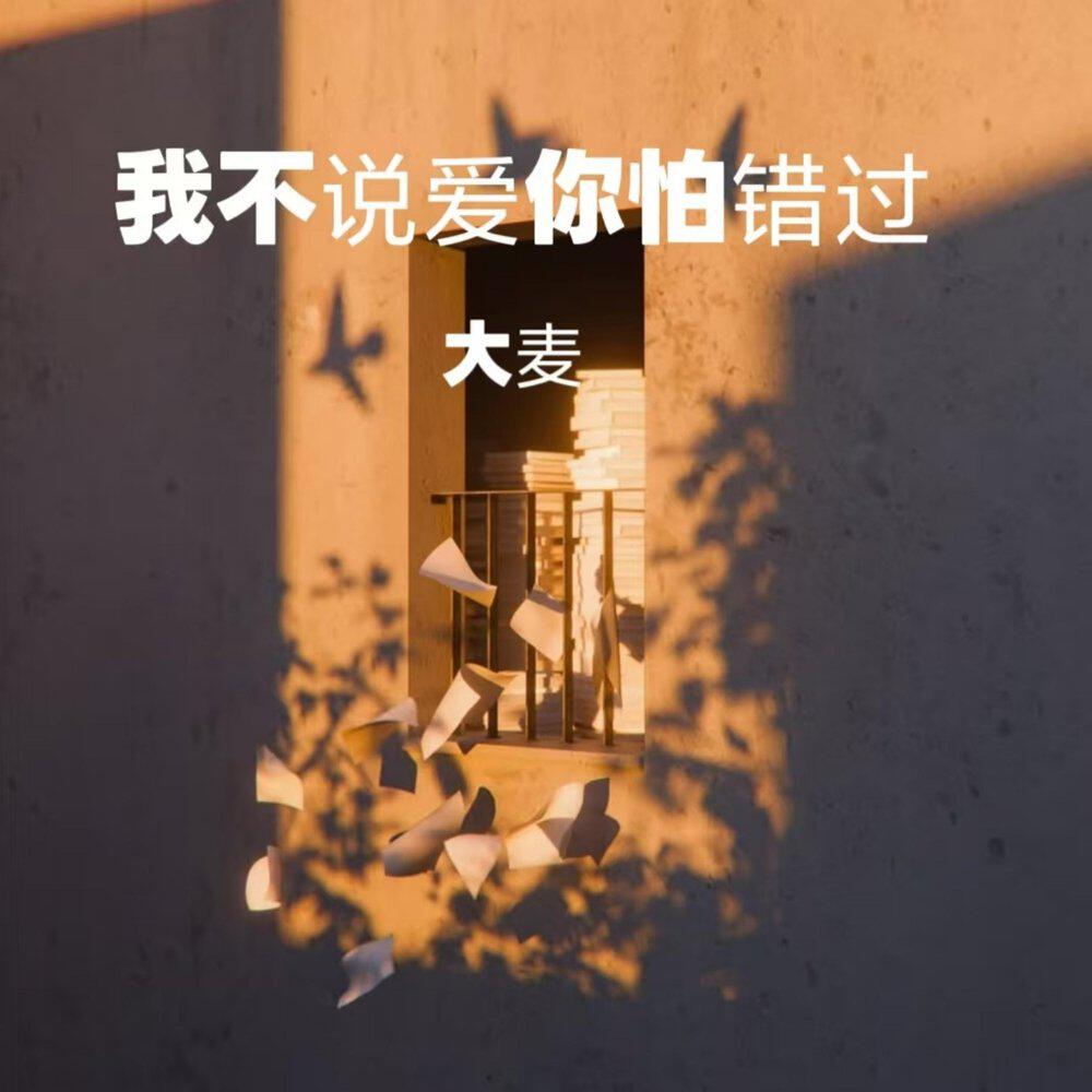 Релиз 我不说爱你怕错过