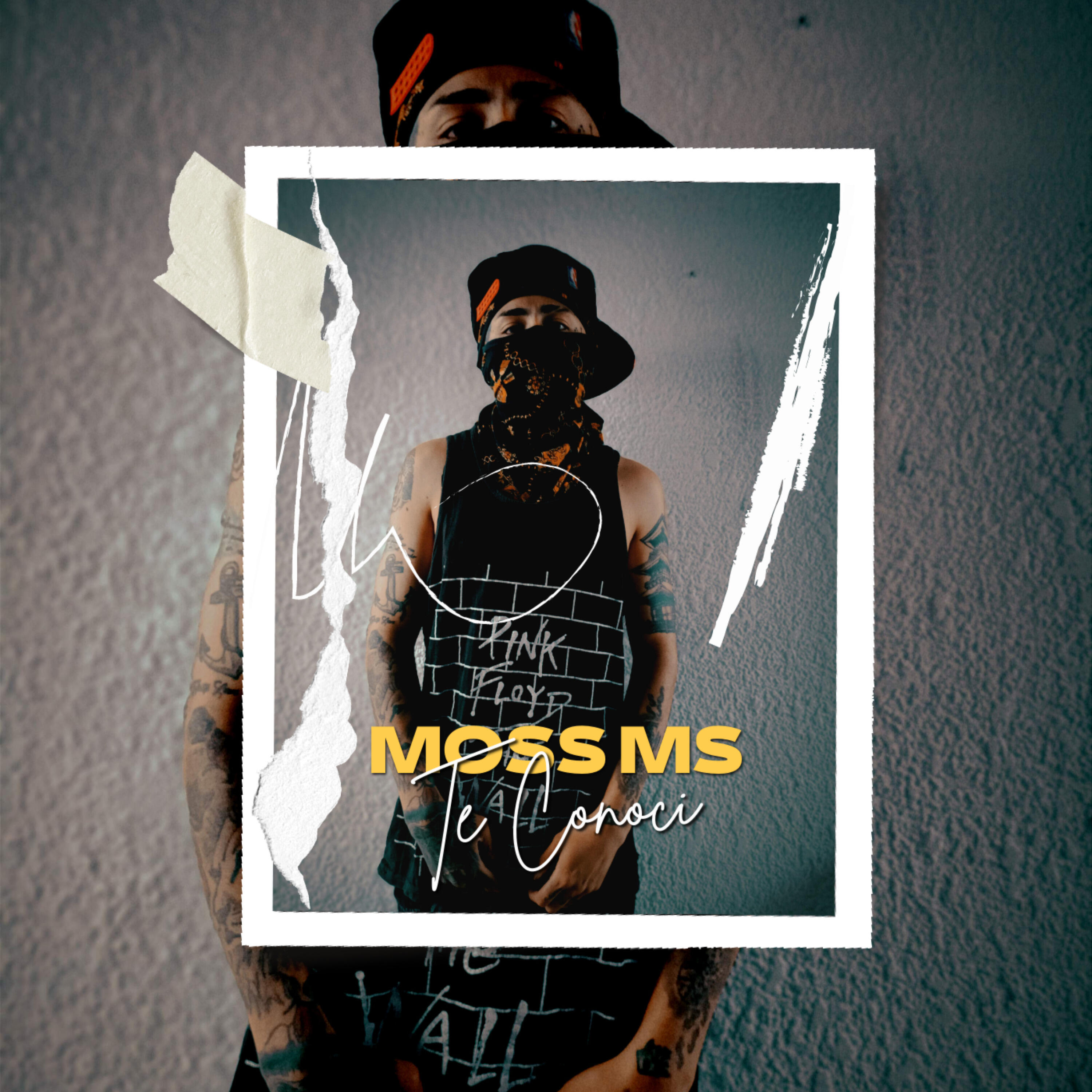 Moss Ms