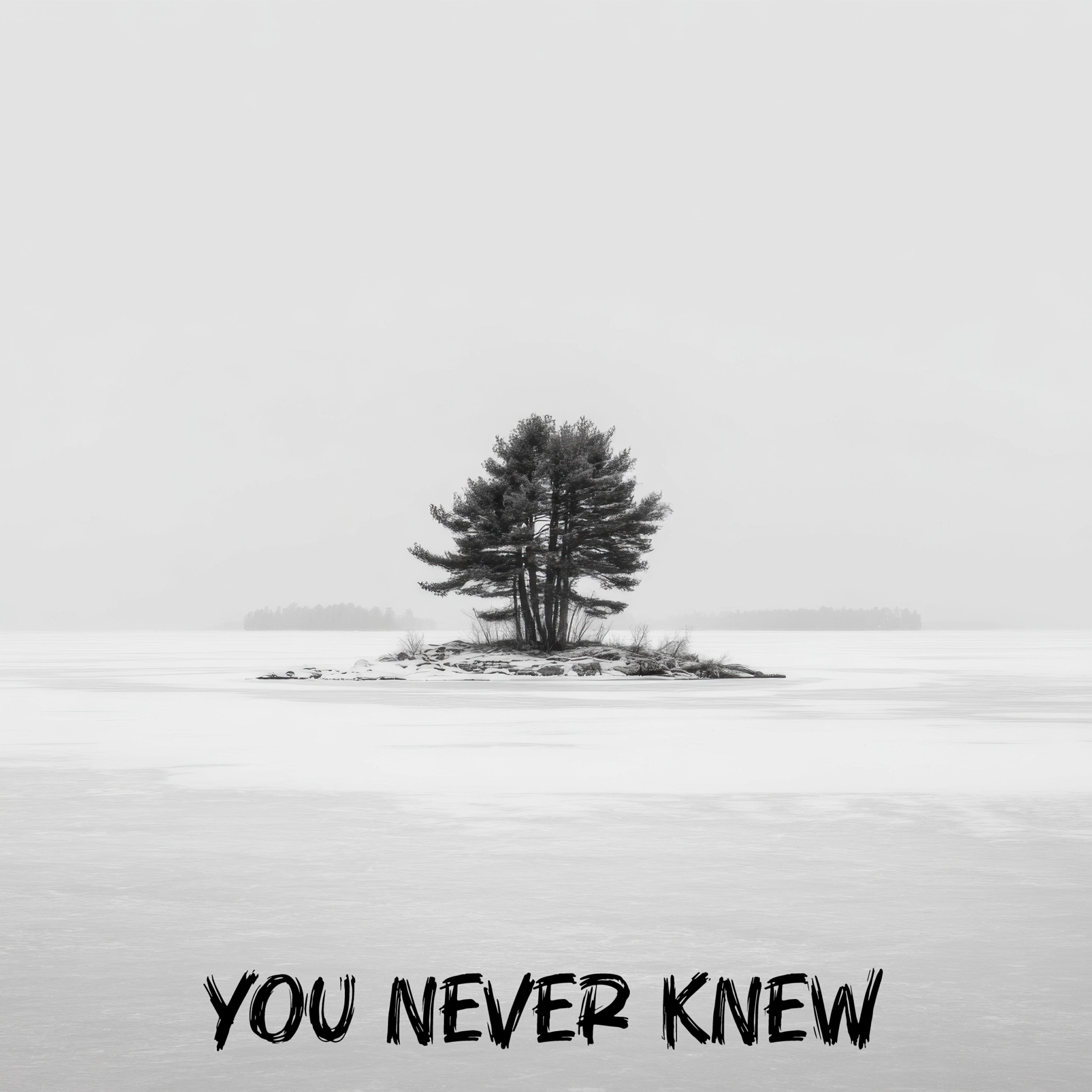 Релиз You Never Knew