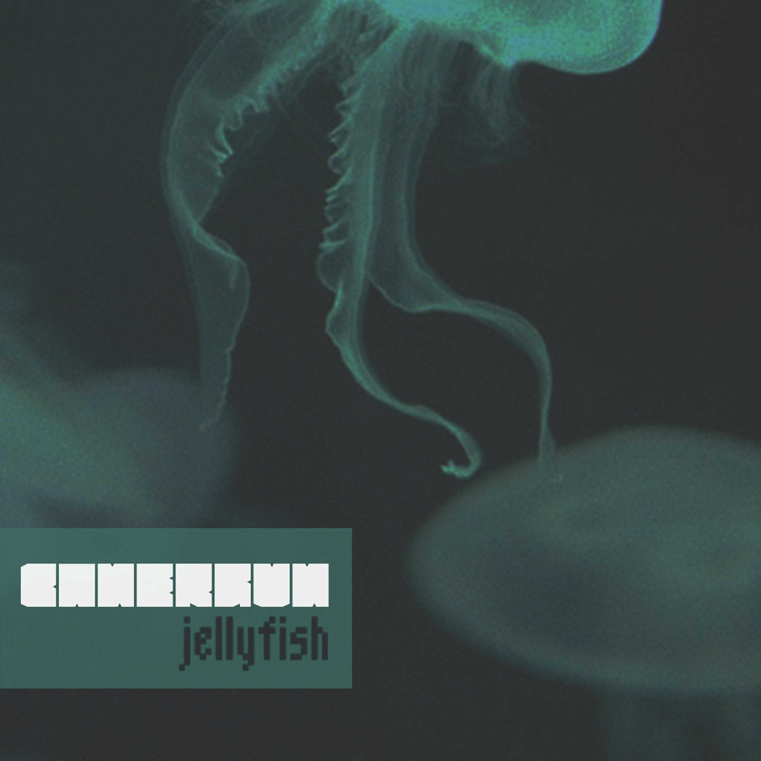Релиз Jellyfish
