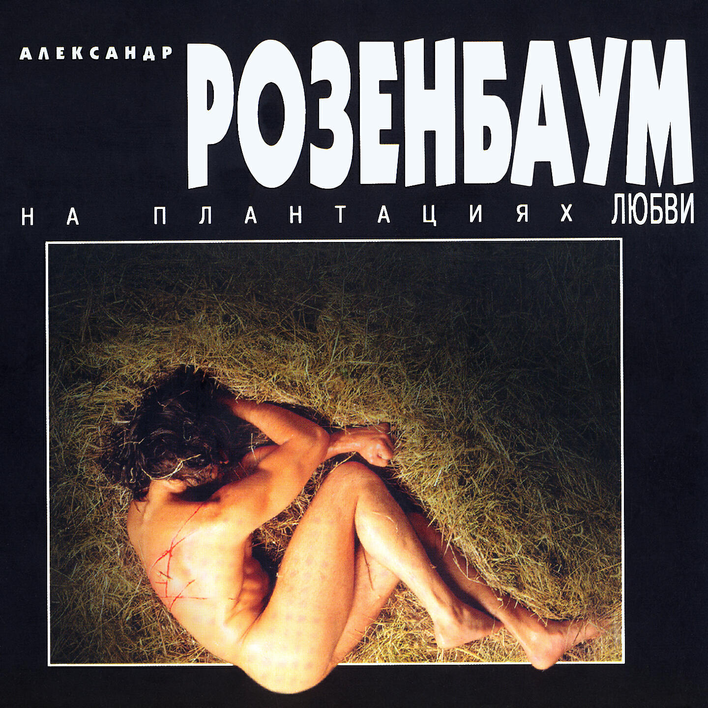 Релиз На плантациях любви