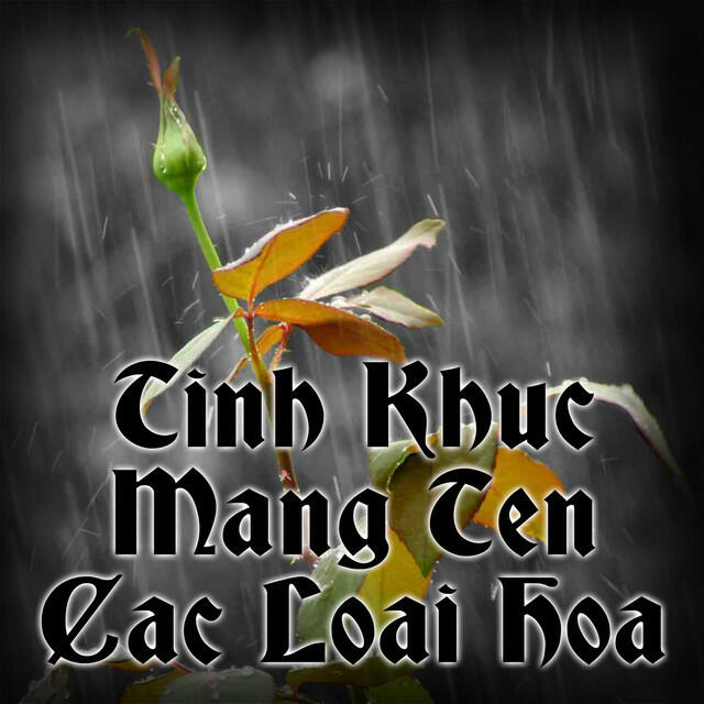 Ha Thanh
