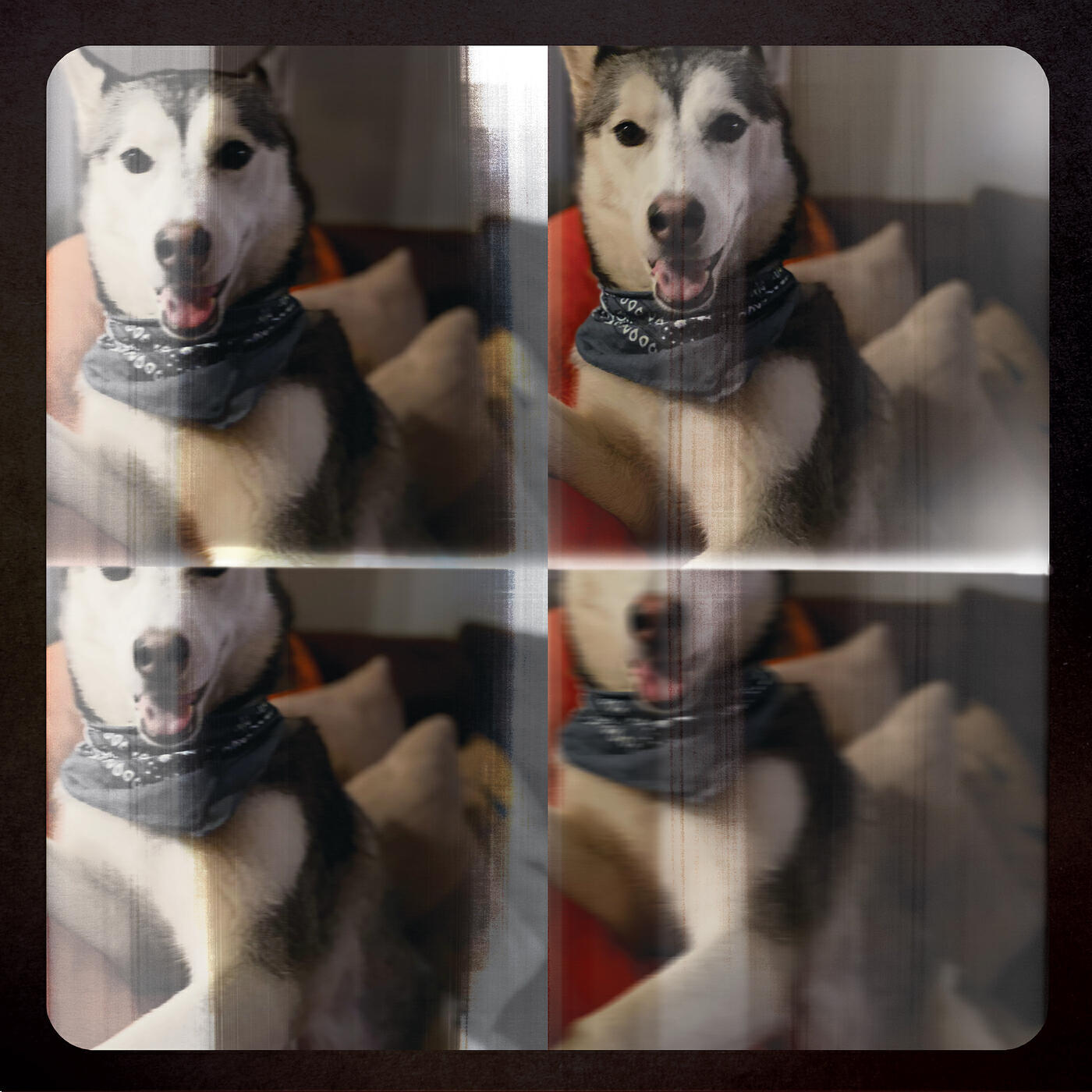 Релиз Them Dogs