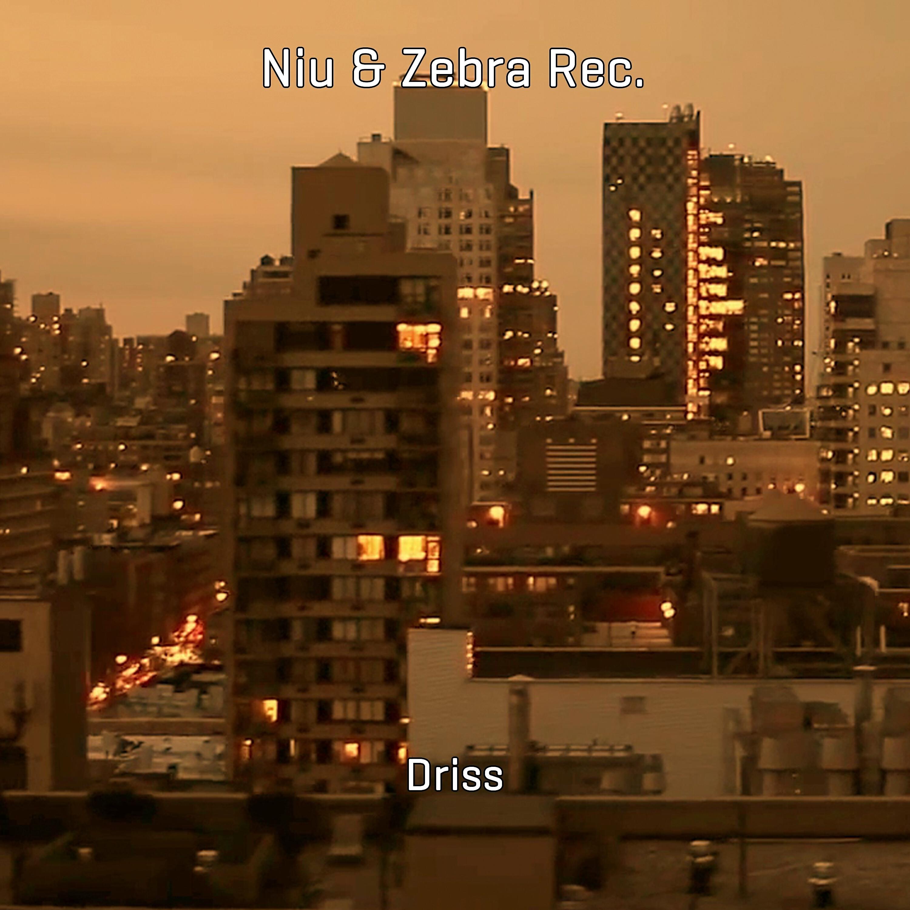 Релиз Driss