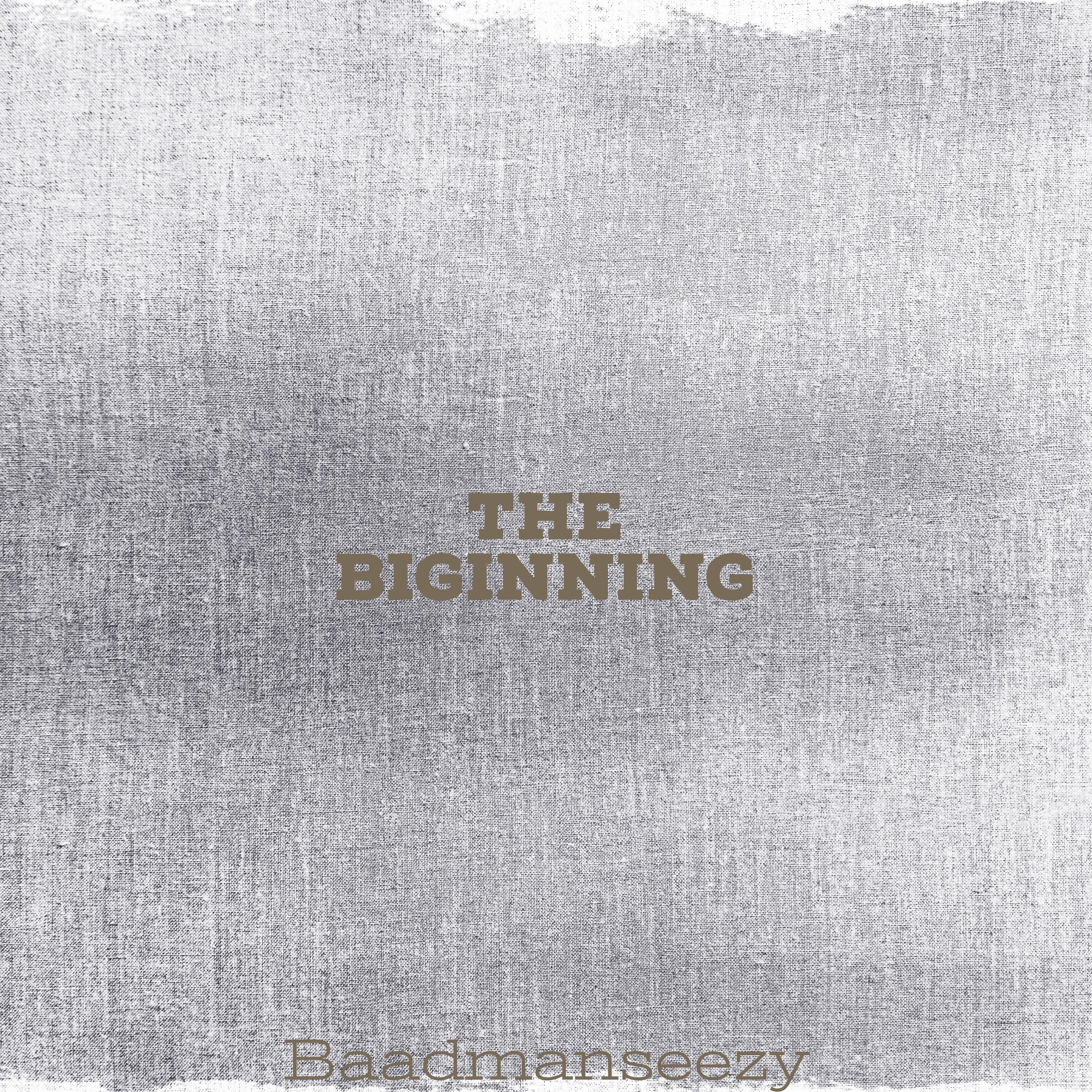 Релиз The Beginning