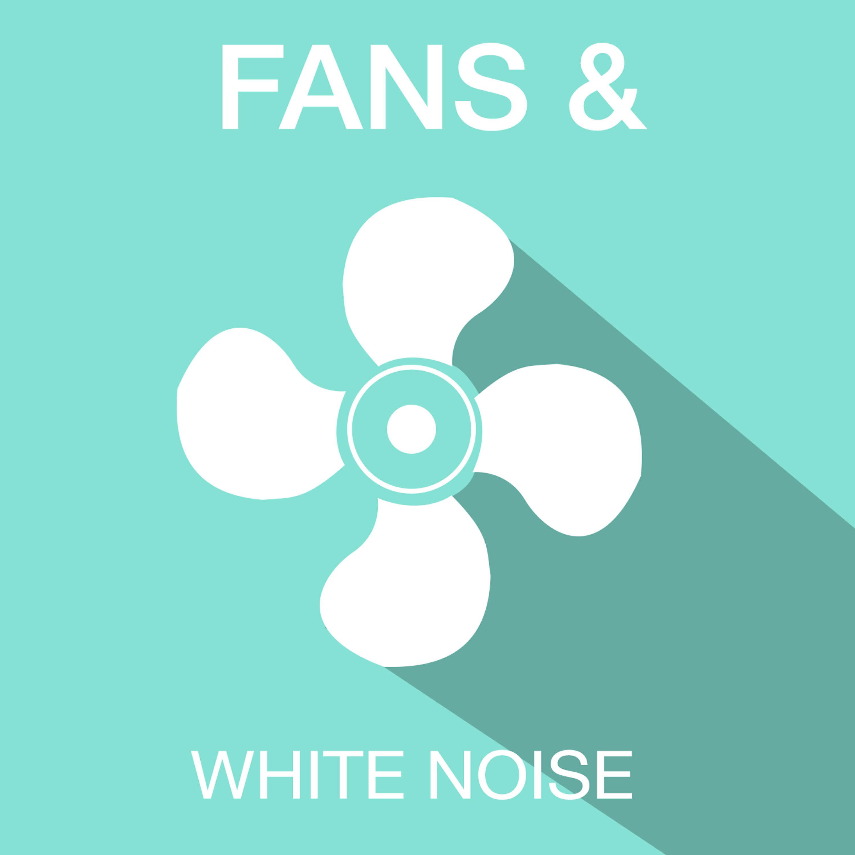 Релиз Fans & White Noise