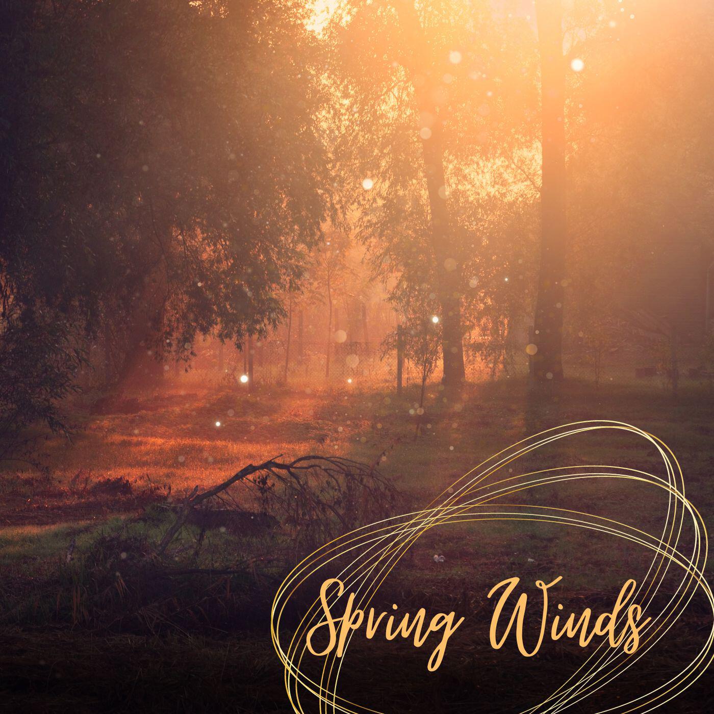 Релиз Spring winds