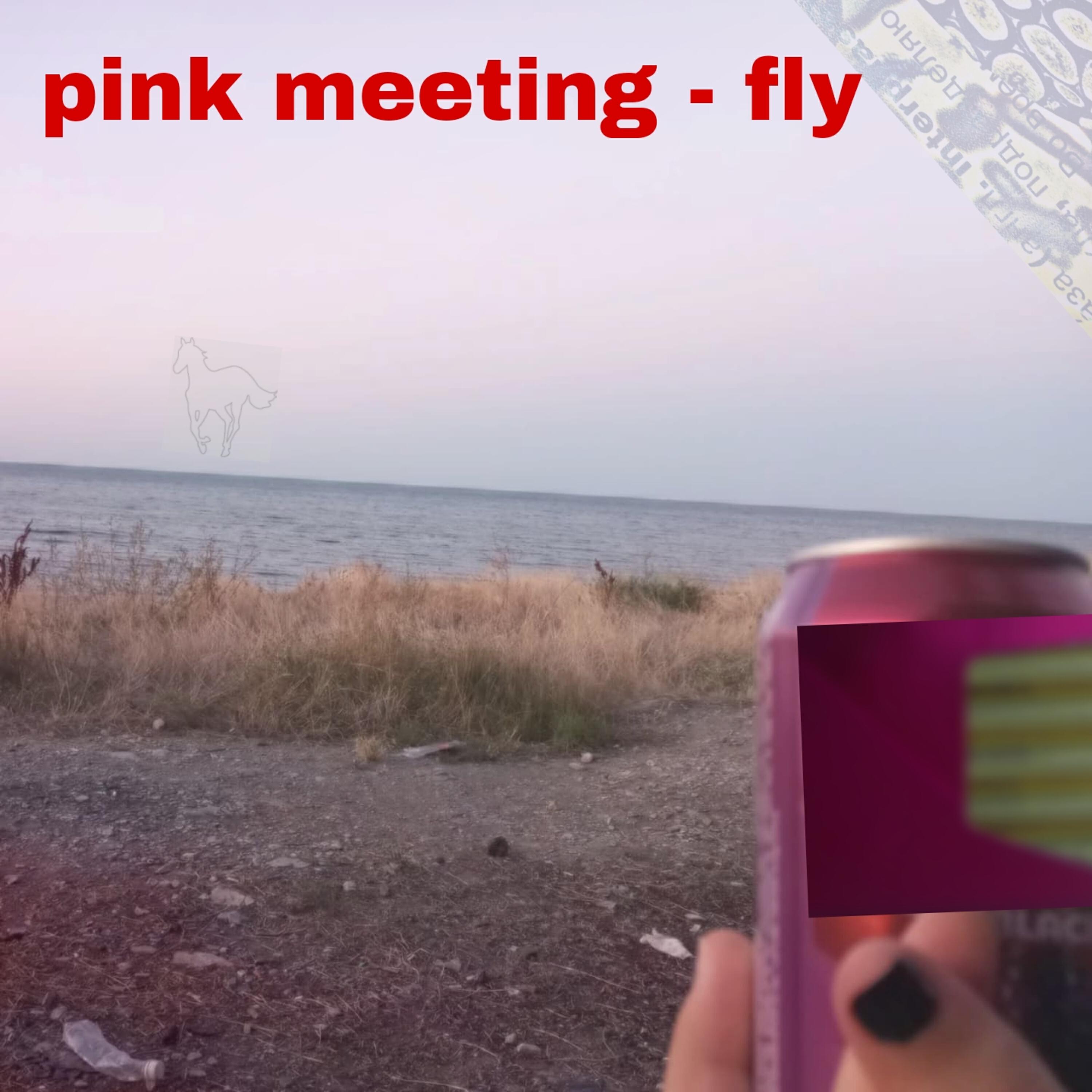 pink meeting