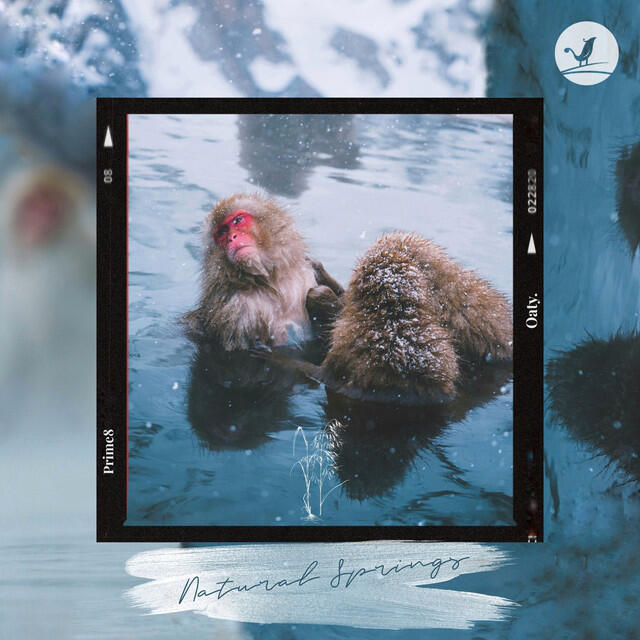 Релиз Natural Springs