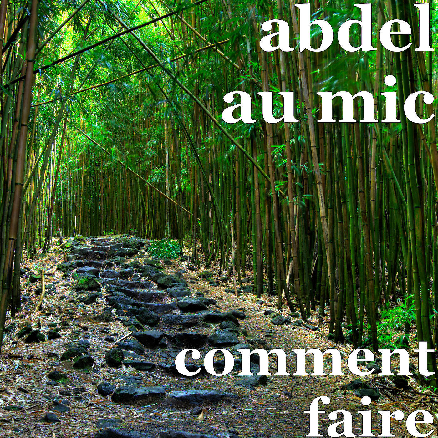 abdel au mic