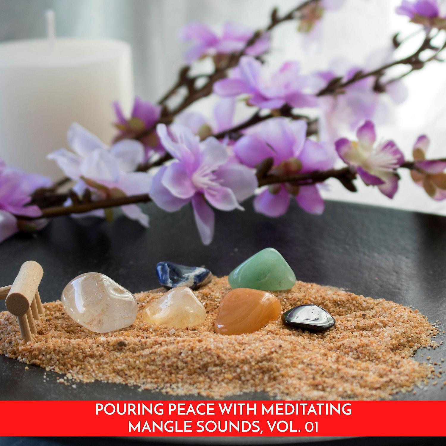 Релиз Pouring Peace with Meditating Mangle Sounds, Vol. 01