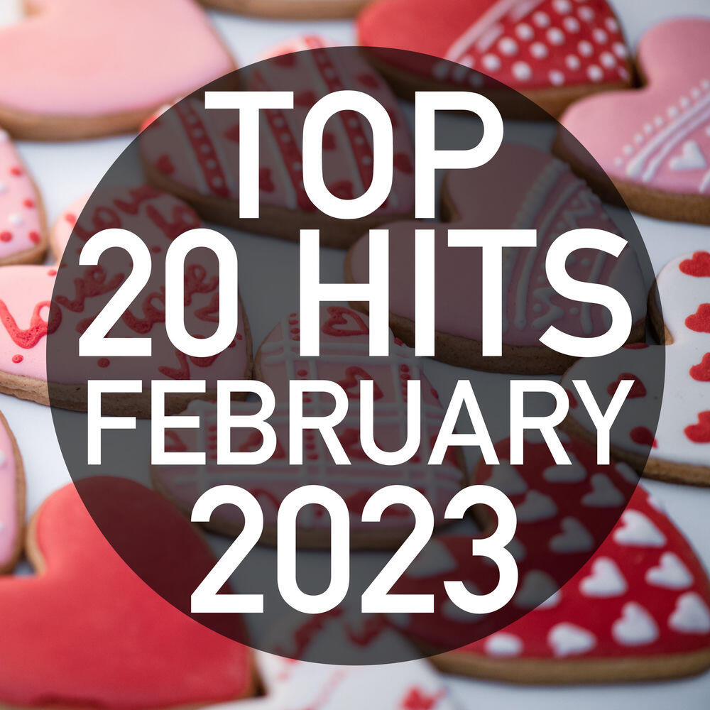 Релиз Top 20 Hits February 2023 (Instrumental)