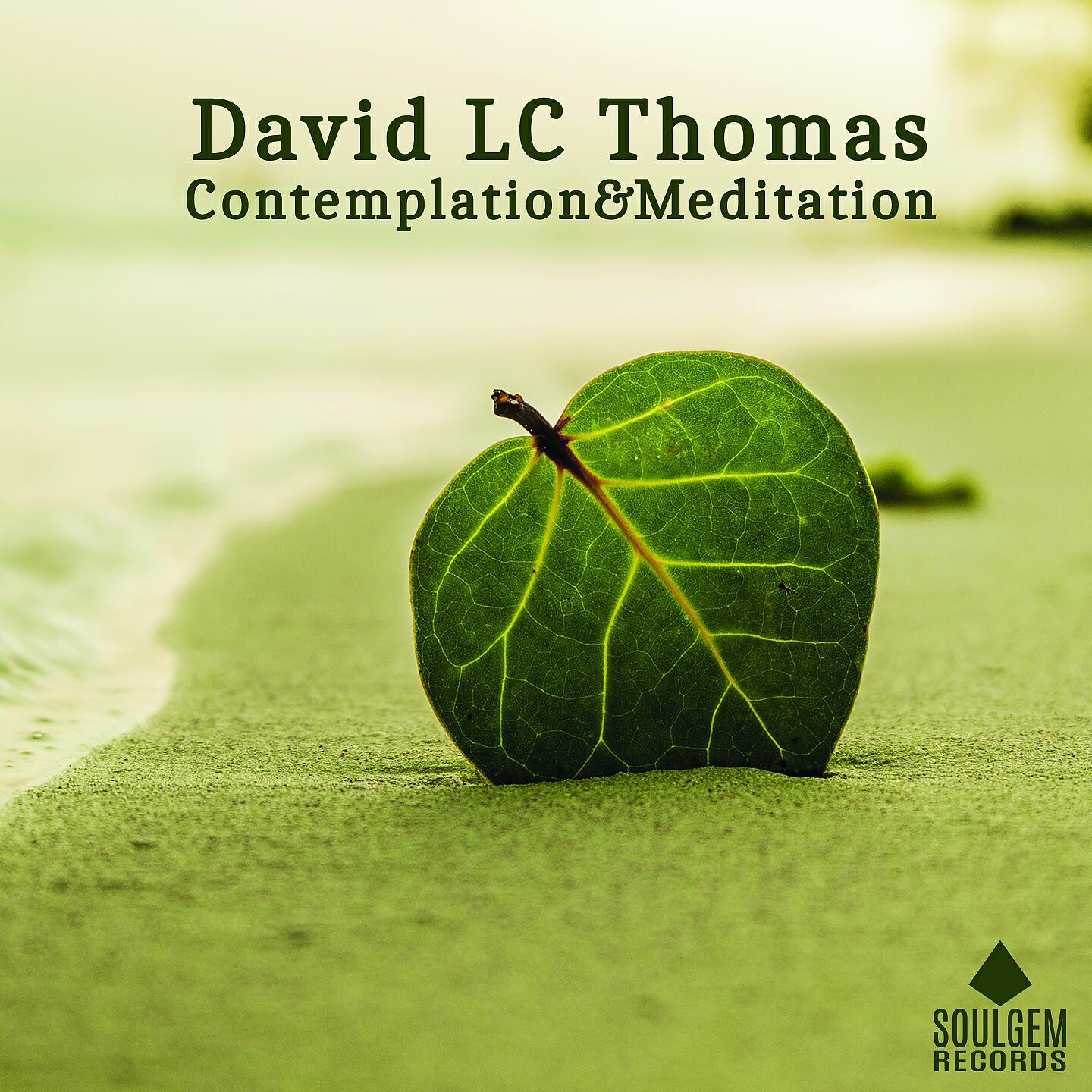 Релиз Contemplation & Meditation
