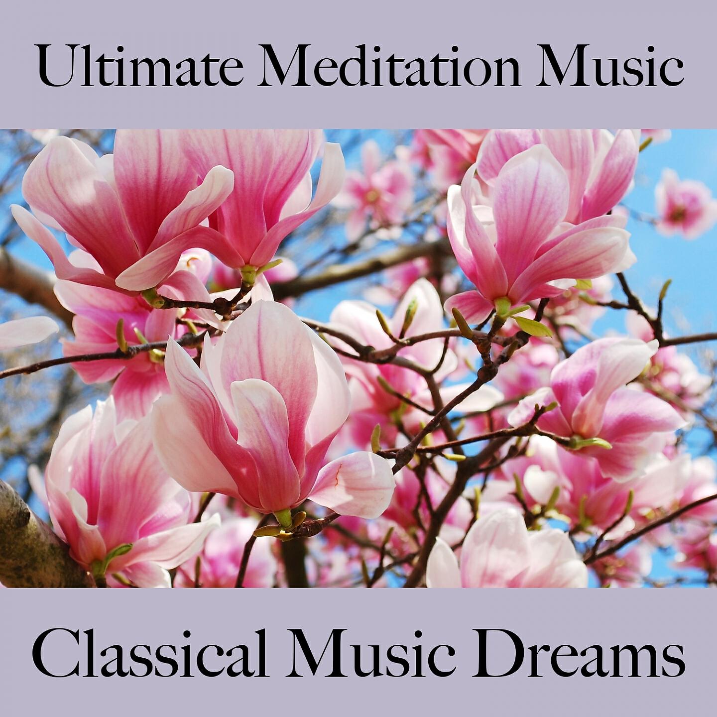 Релиз Ultimate Meditation Music: Classical Music Dreams - Die Beste Musik Zum Entspannen