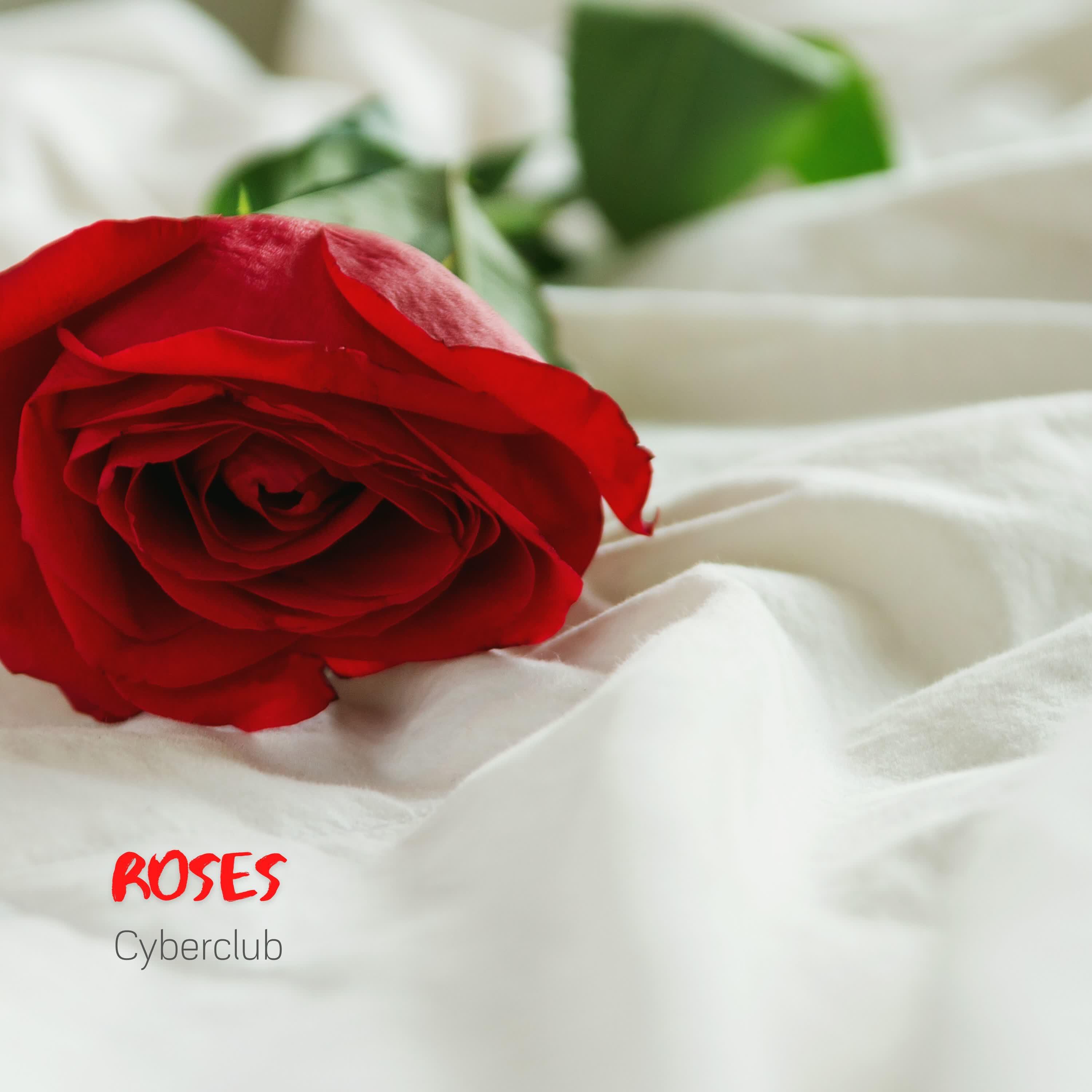 Релиз Roses