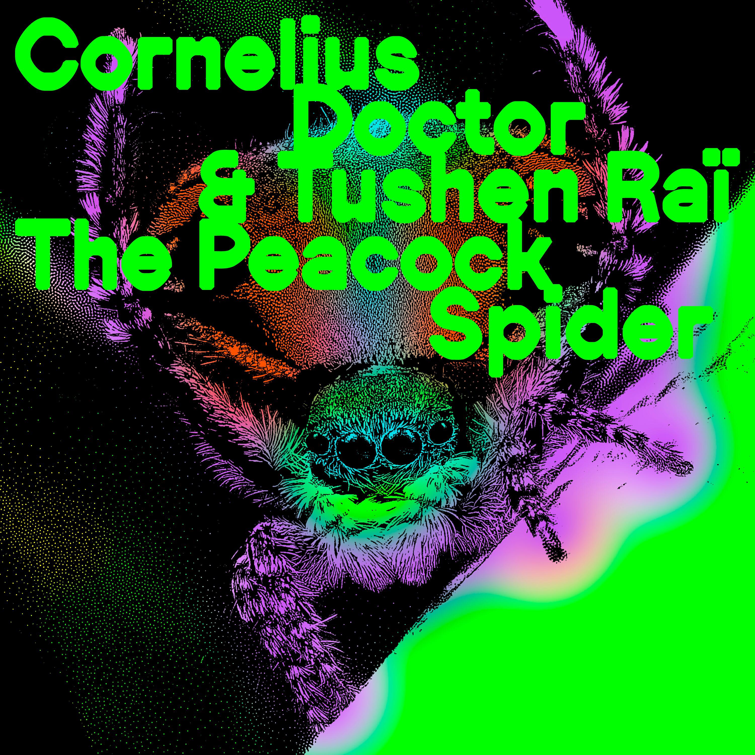 Релиз The Peacock Spider
