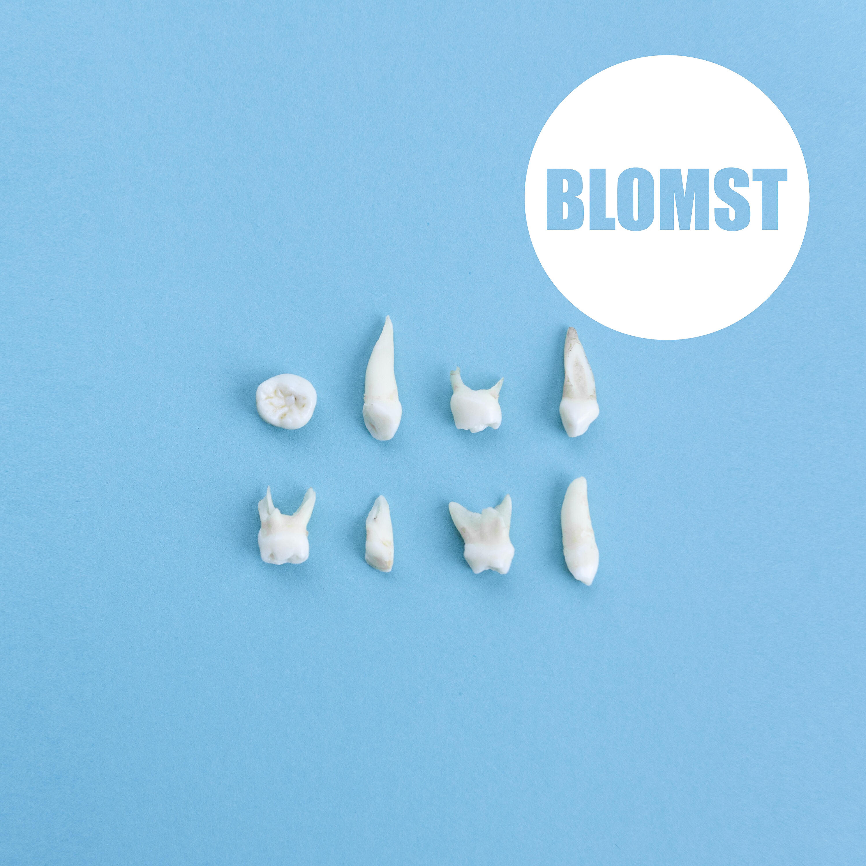 Релиз Blomst