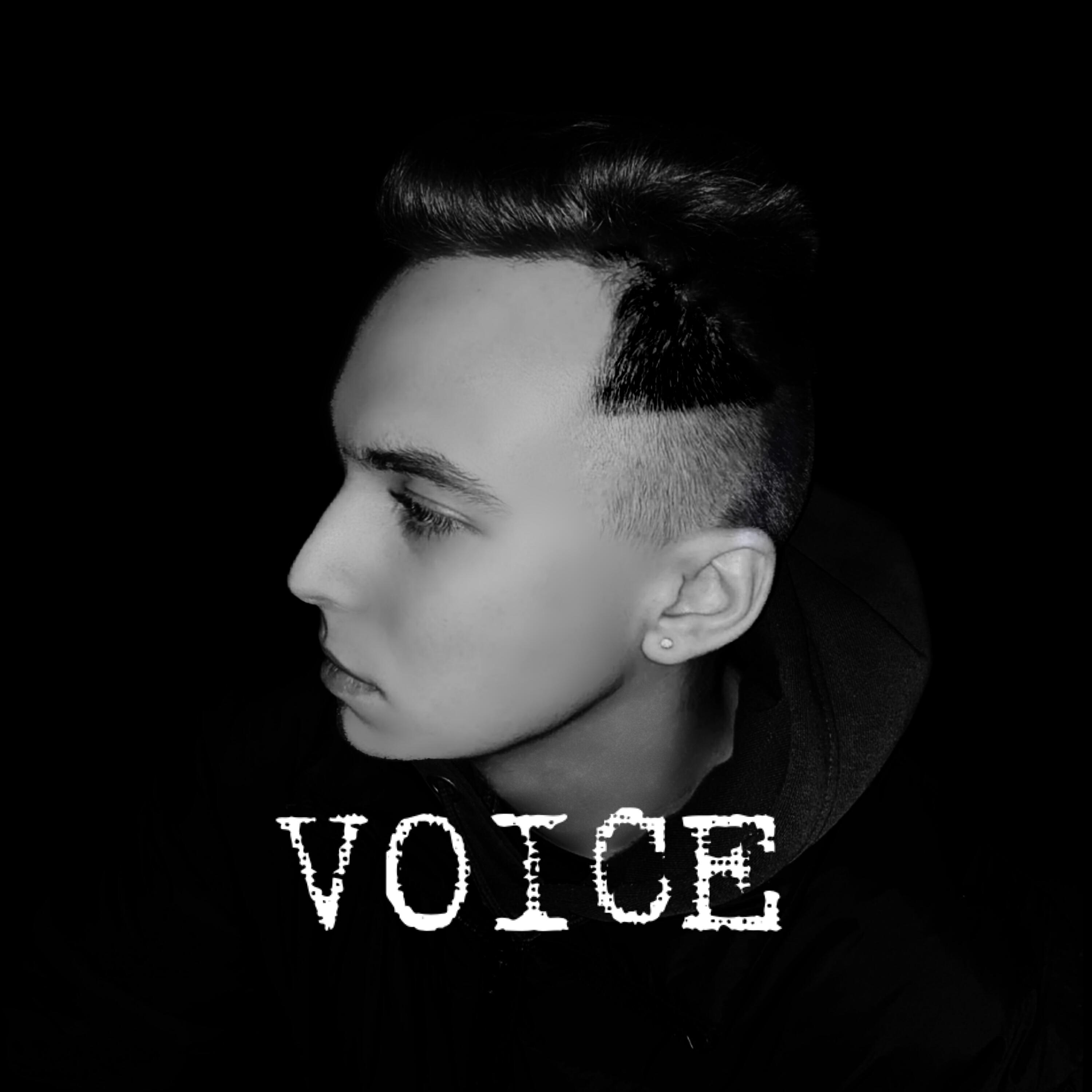 Релиз Voice