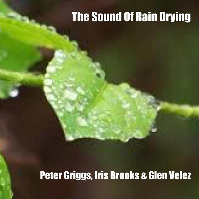 Релиз The Sound of Rain Drying