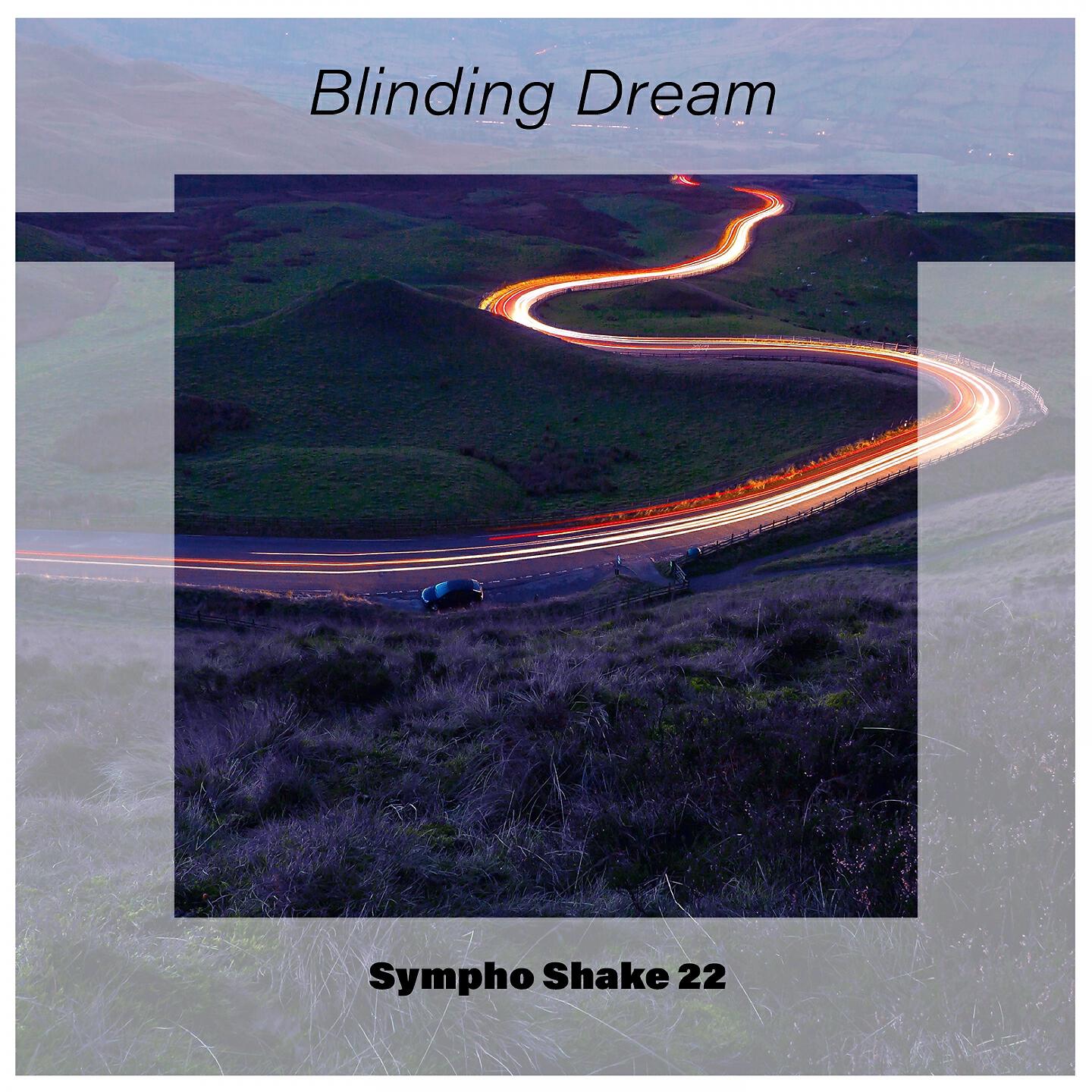 Релиз Blinding Dream Sympho Shake 22
