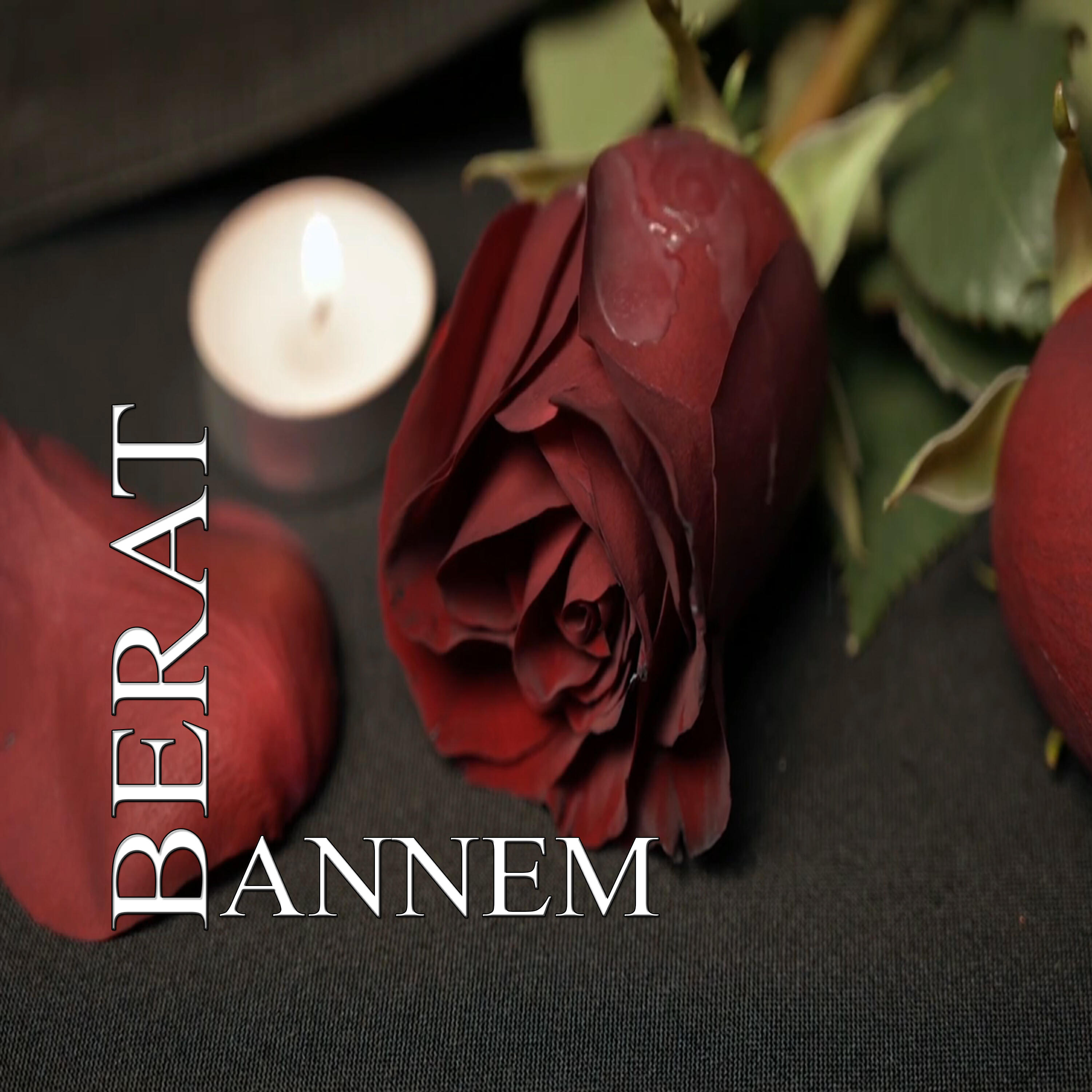 Релиз Annem