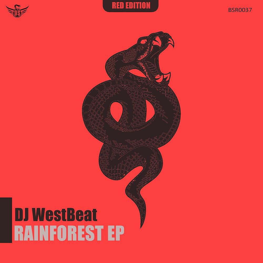 Релиз Rainforest