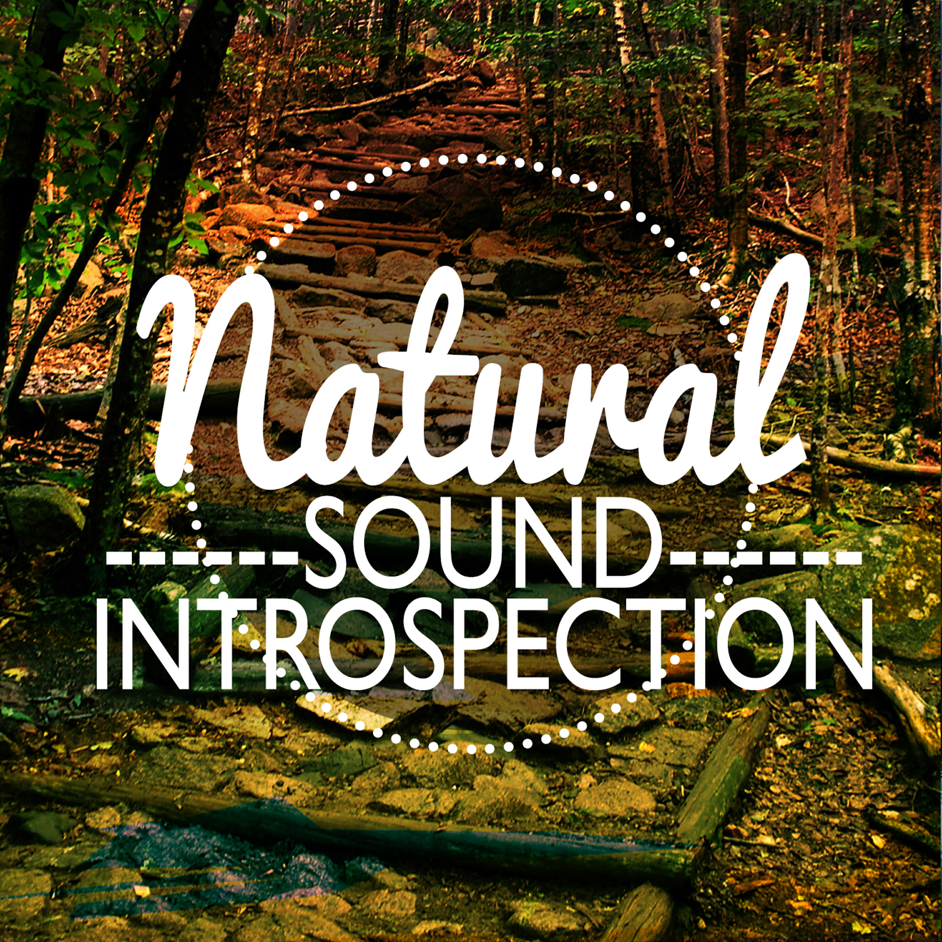 Релиз Nature Sound Introspection