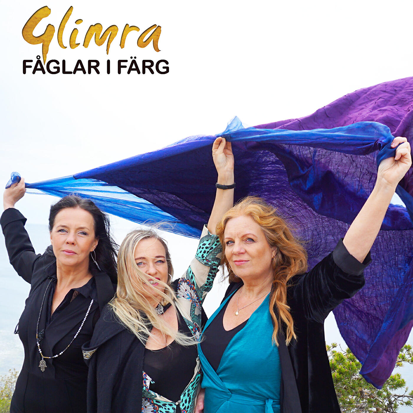 Релиз Fåglar i färg