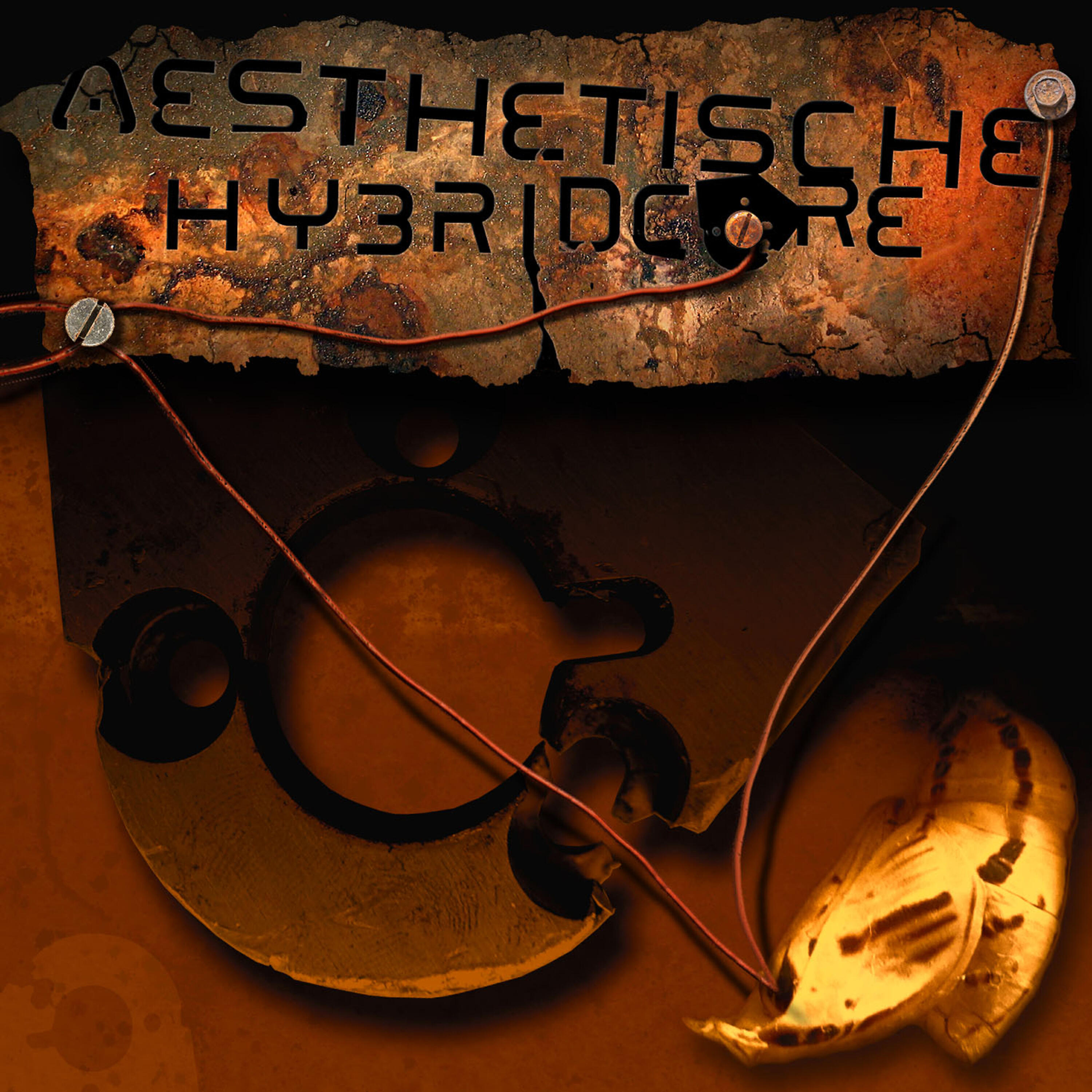 Релиз Hybridcore