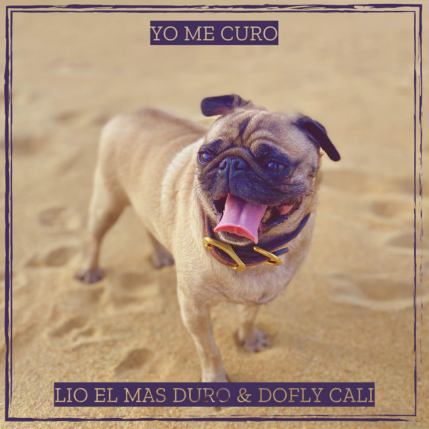 Релиз Yo Me Curo