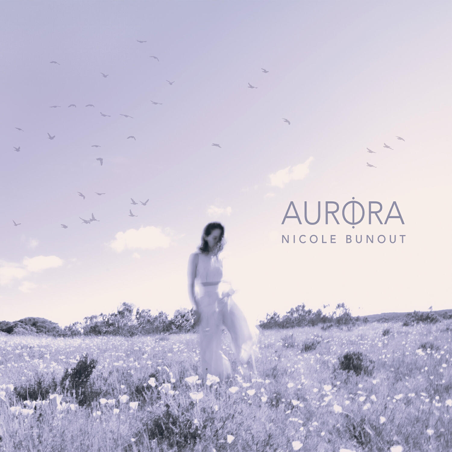 Релиз Aurora