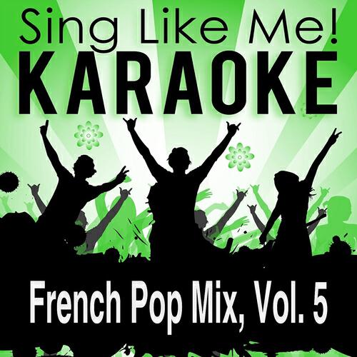 Постер альбома French Pop Mix, Vol. 5 (Karaoke Version)