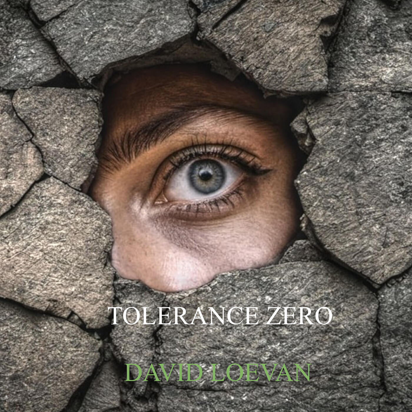 Релиз TOLERANCE ZERO
