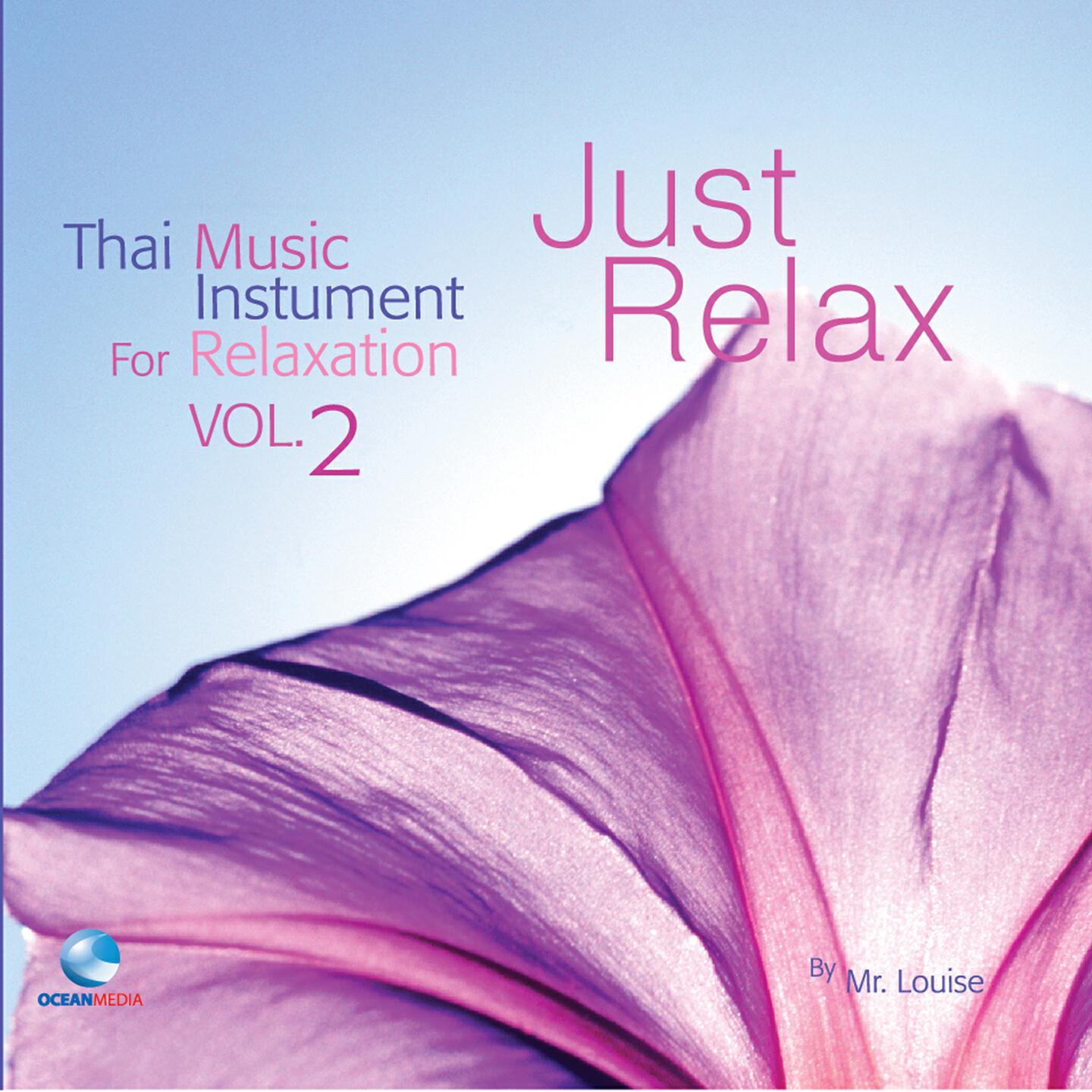 Релиз บรรเลงไทยคลายอารมณ์, Vol. 2